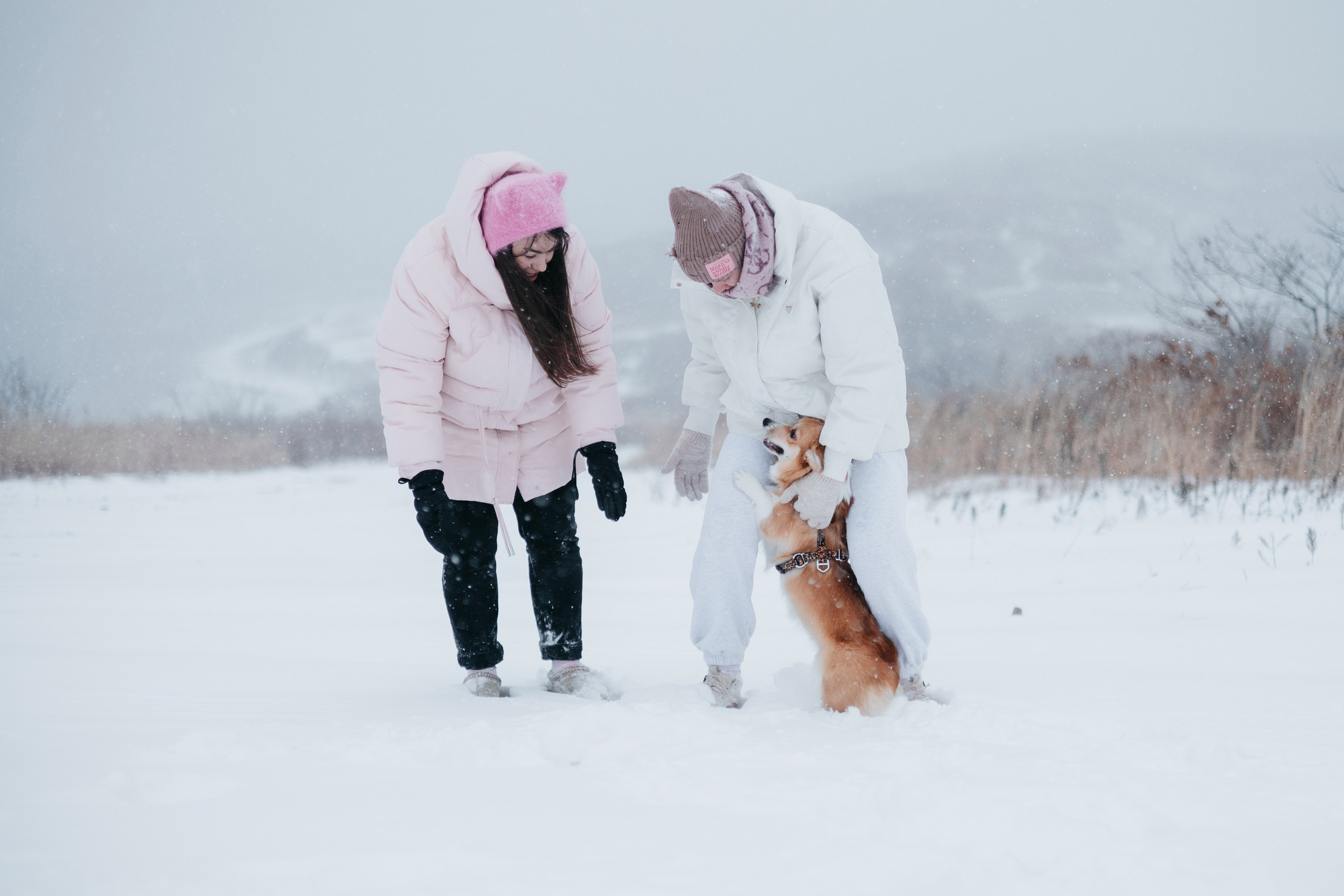 Лена, Лиза и Мия. Фотограф — анималист Владивосток, Алина