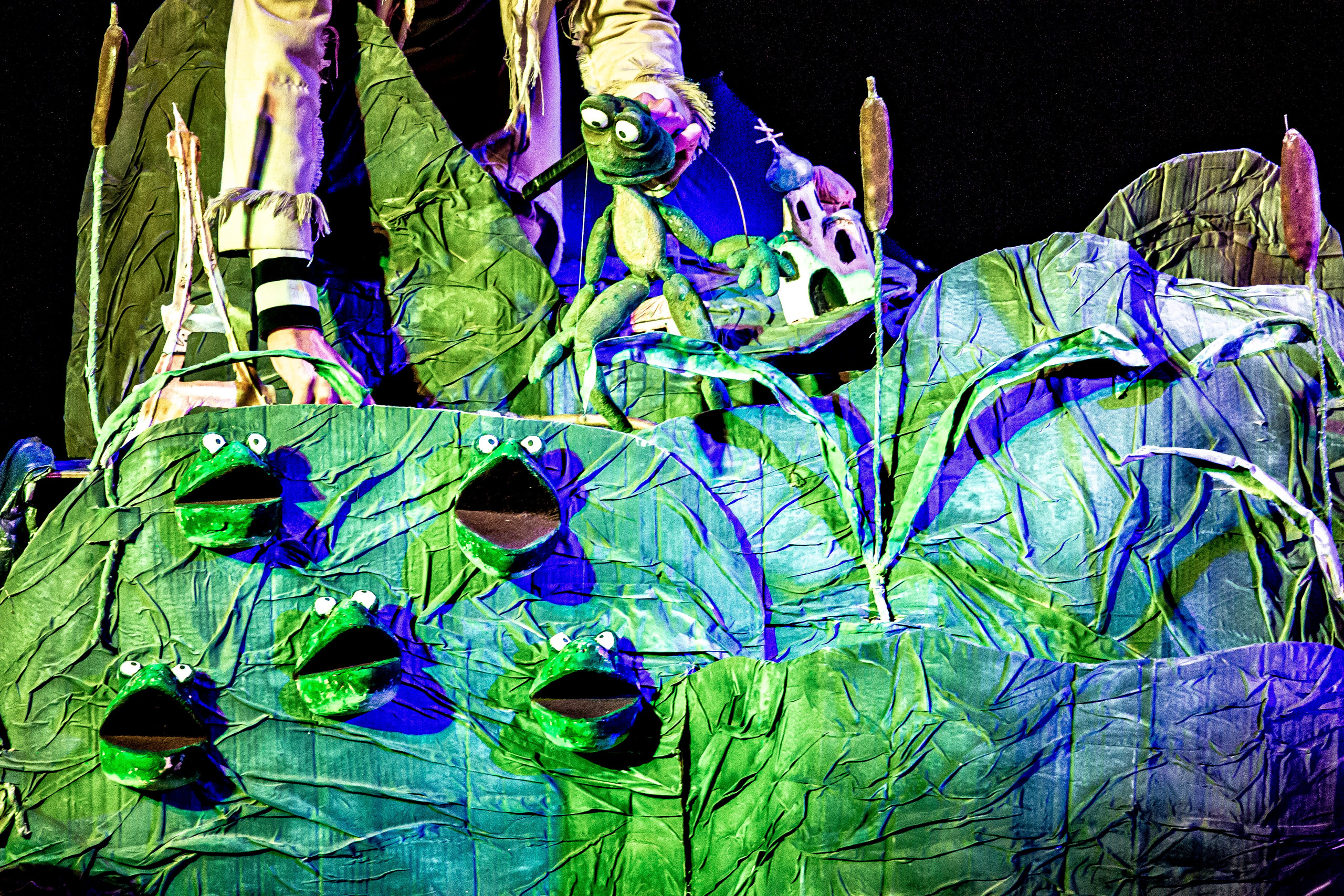 Спектакль театра Саквояж Лягушка путешествиница. Фотограф в Сочи Юрий Шептаев