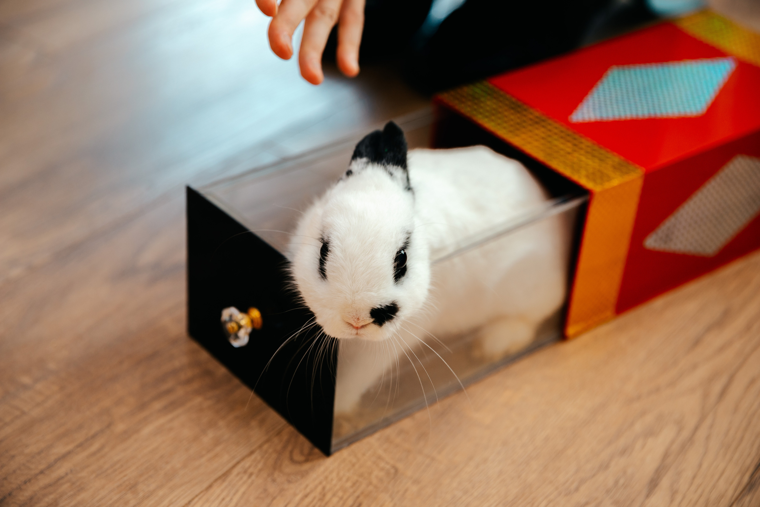 Семёну 5 лет. Семейный lifestyle фотограф в Санкт-Петербурге Людмила Пахомова