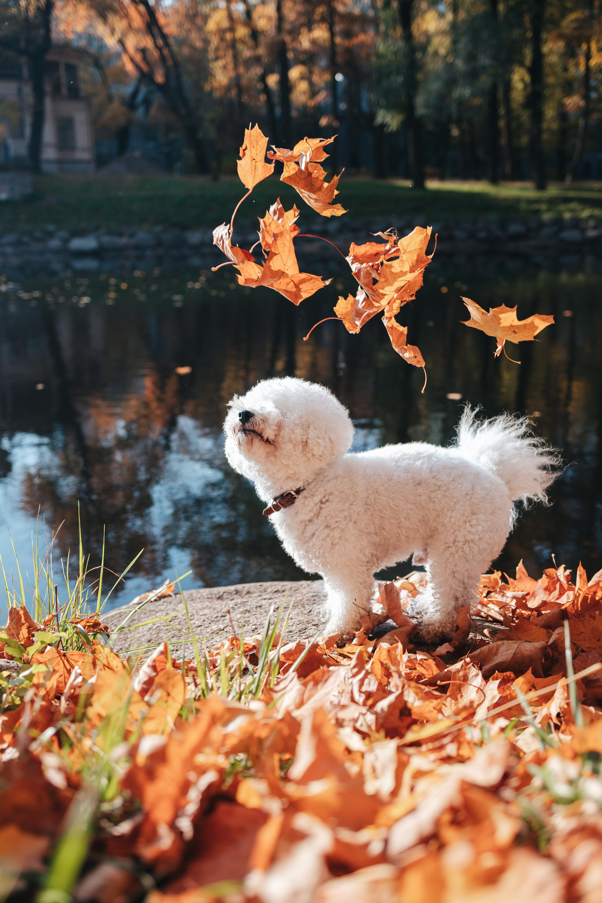 Фотосессия на улице. Семейный lifestyle фотограф в Санкт-Петербурге Людмила Пахомова