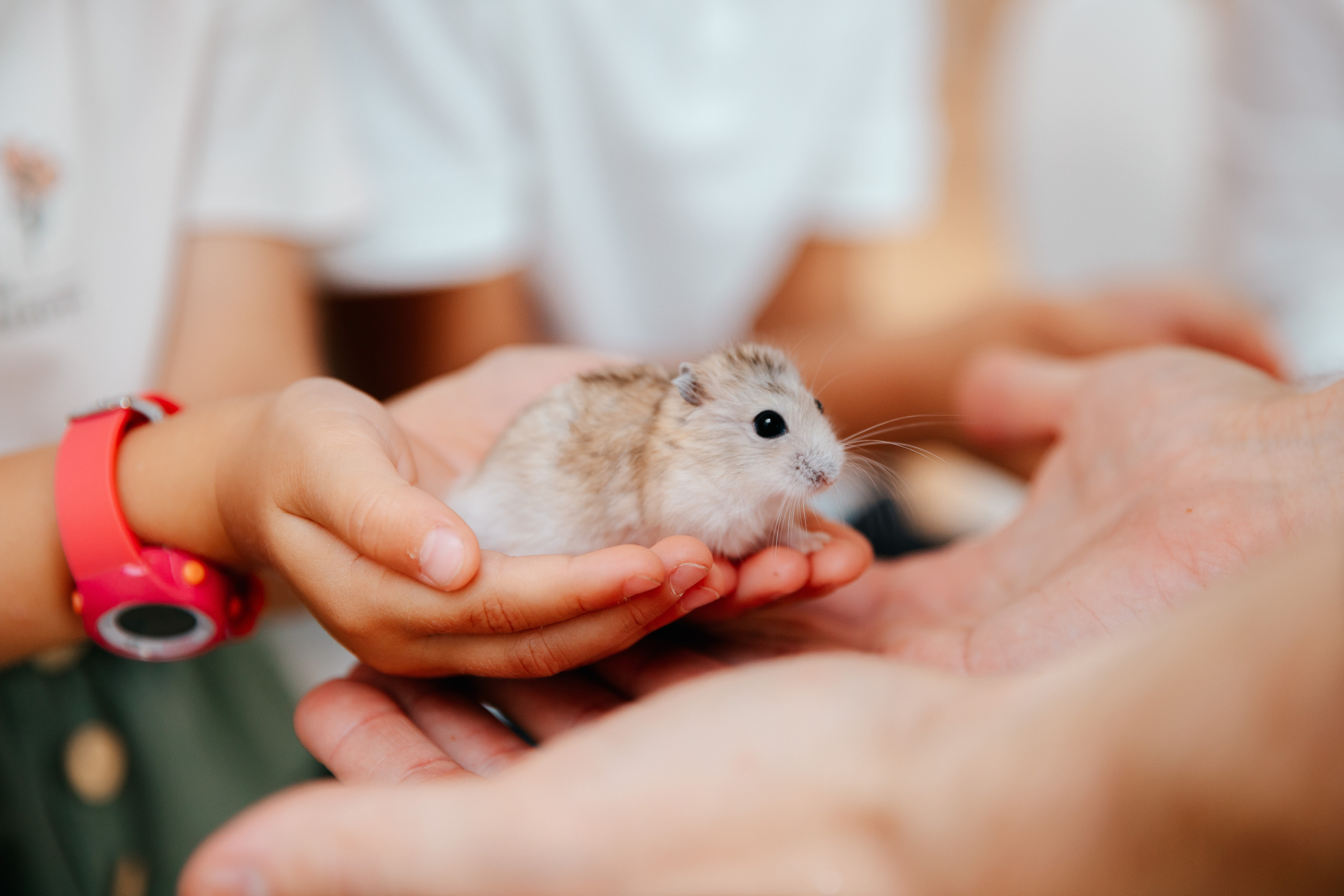 Фоторепортаж. Семейный lifestyle фотограф в Санкт-Петербурге Людмила Пахомова