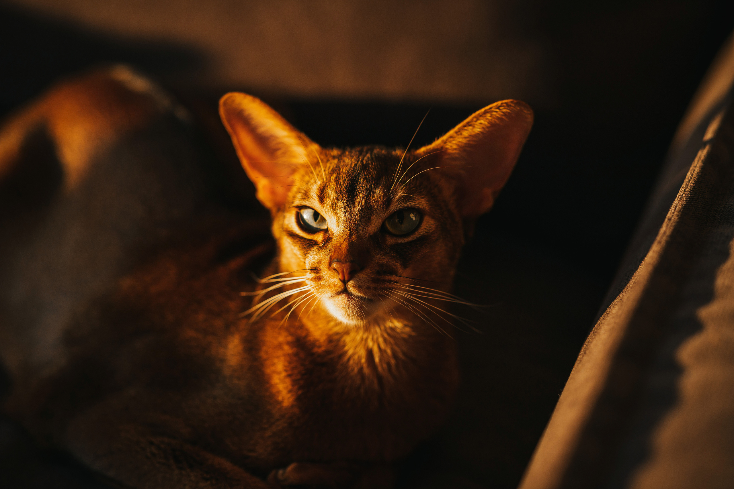 Олег и Саша. Семейный lifestyle фотограф в Санкт-Петербурге Людмила Пахомова