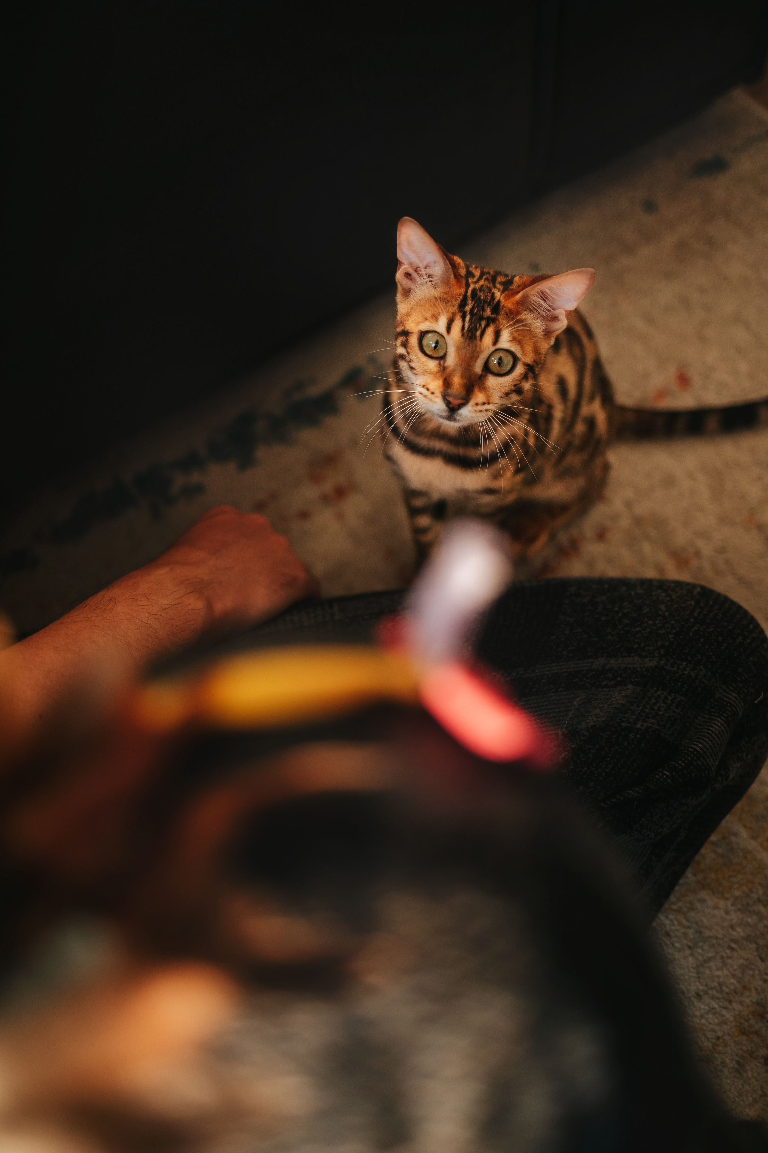 Олег и Саша. Семейный lifestyle фотограф в Санкт-Петербурге Людмила Пахомова