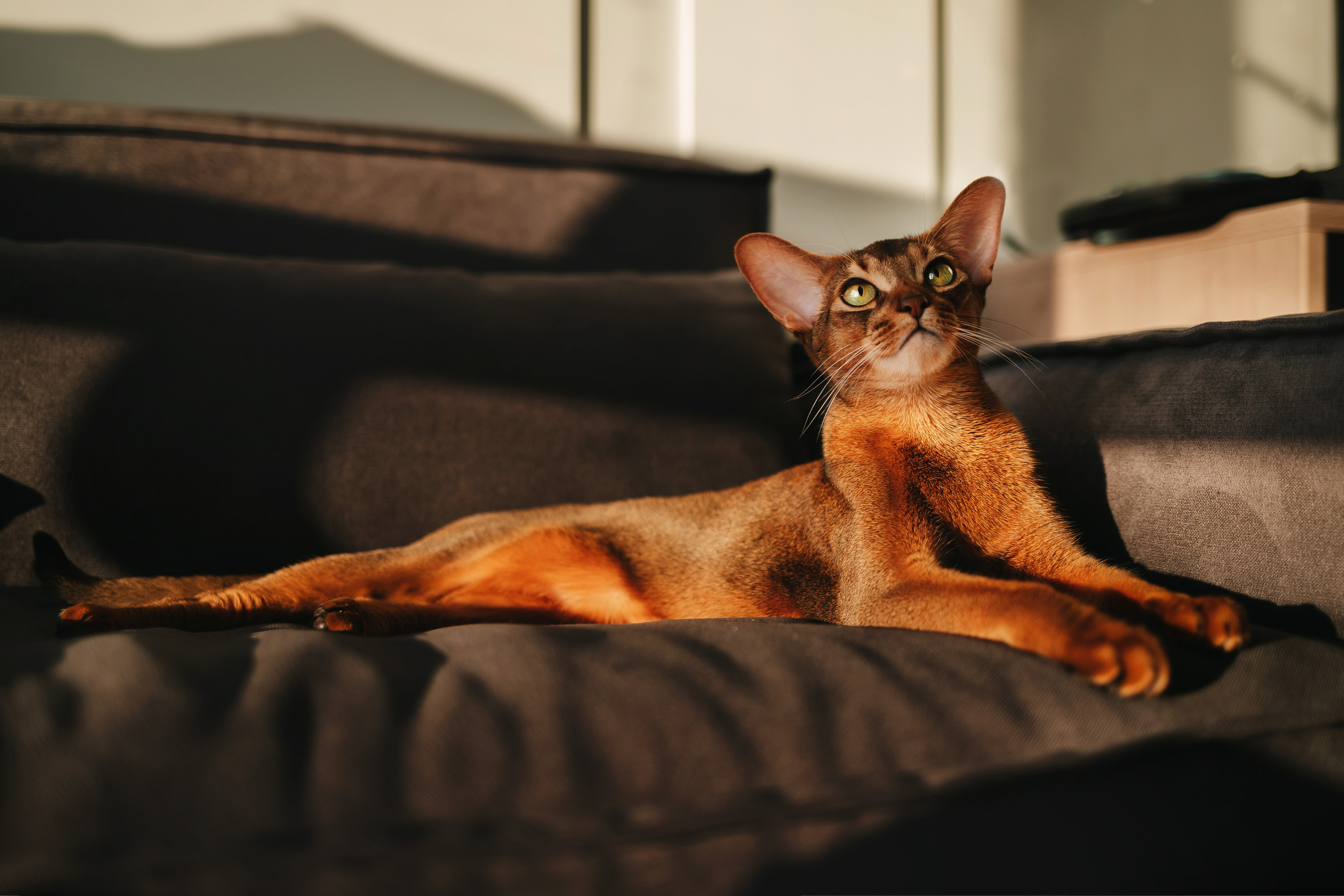 Олег и Саша. Семейный lifestyle фотограф в Санкт-Петербурге Людмила Пахомова