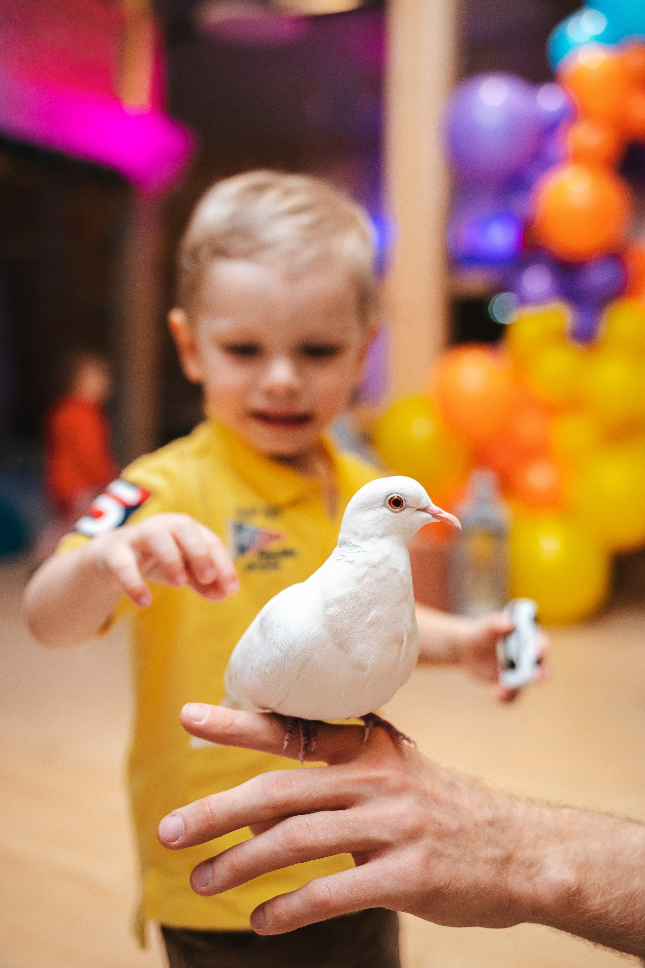 Фоторепортаж. Семейный lifestyle фотограф в Санкт-Петербурге Людмила Пахомова