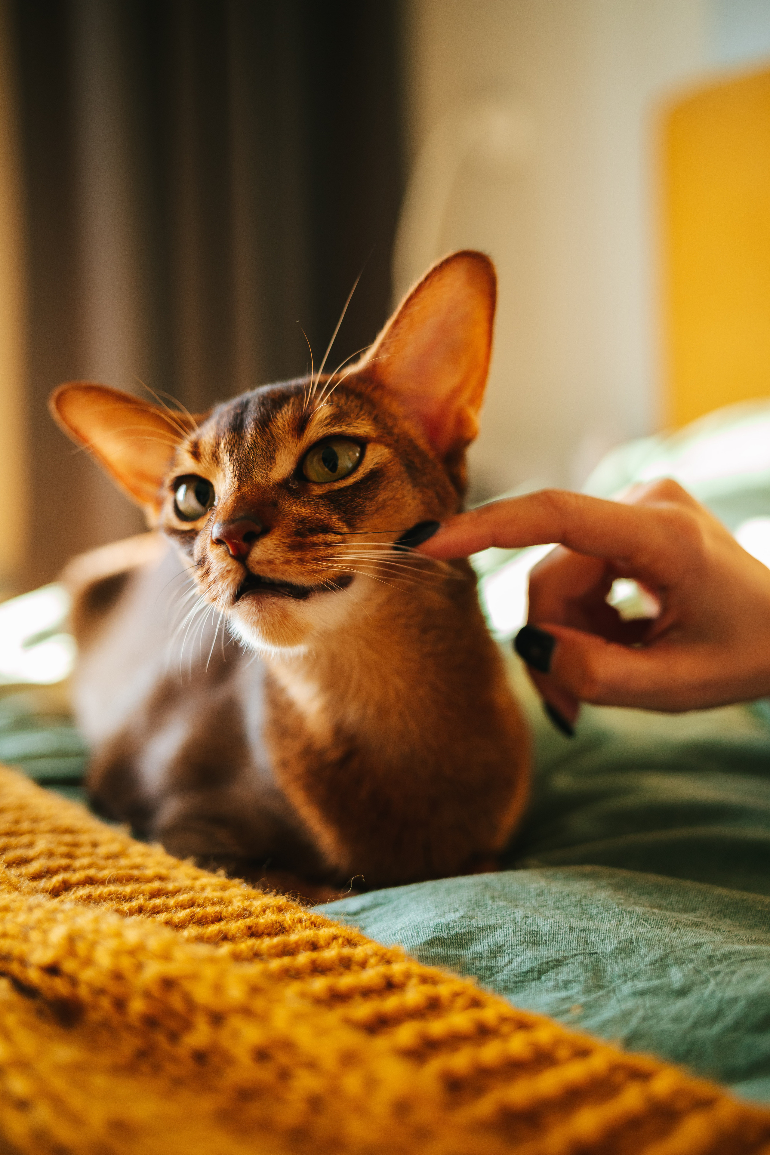 Олег и Саша. Семейный lifestyle фотограф в Санкт-Петербурге Людмила Пахомова