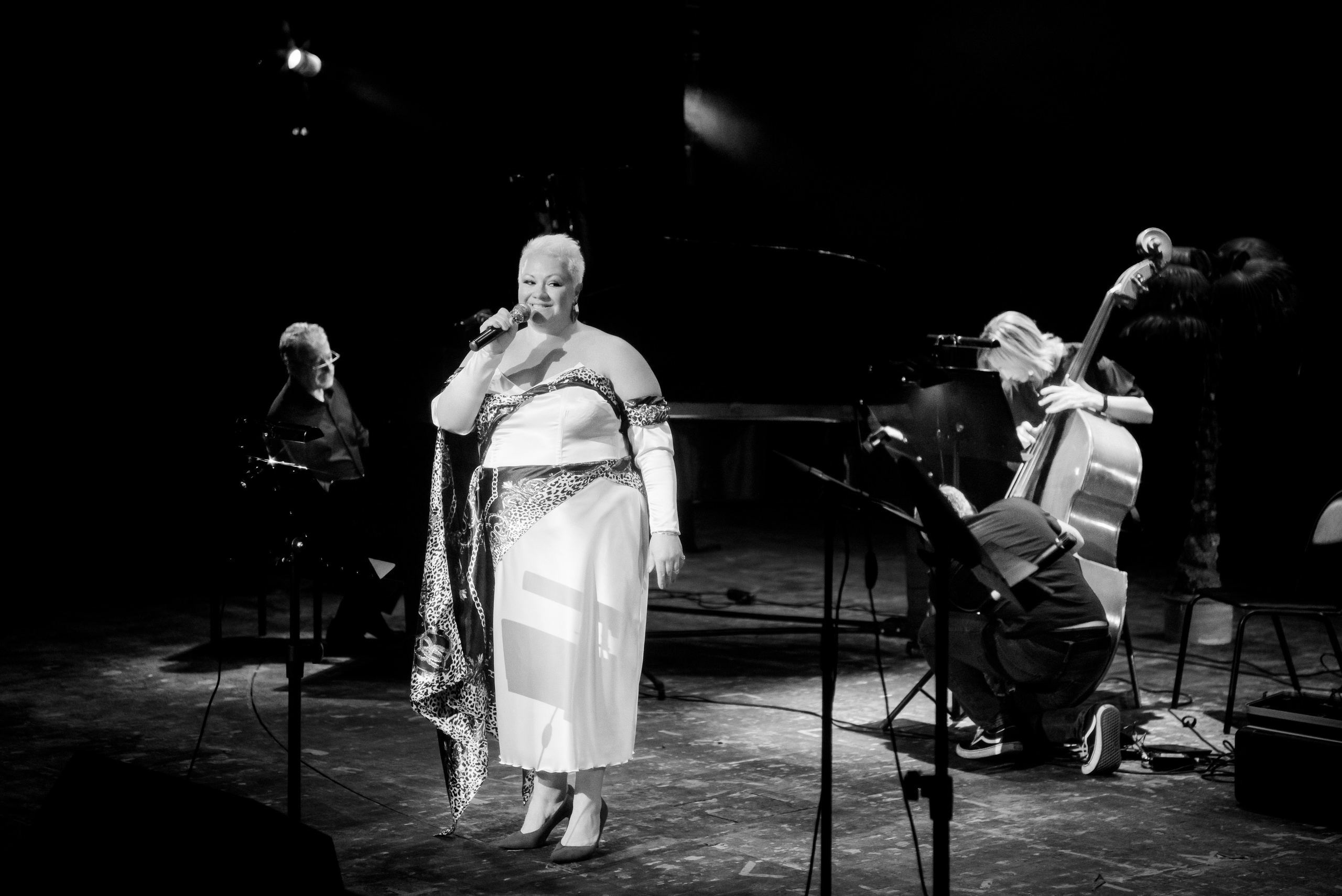 Репортажная фотосъёмка концерта джазовой музыки в Волгограде. Фотограф в Волгограде и Волжском Александр Горбань