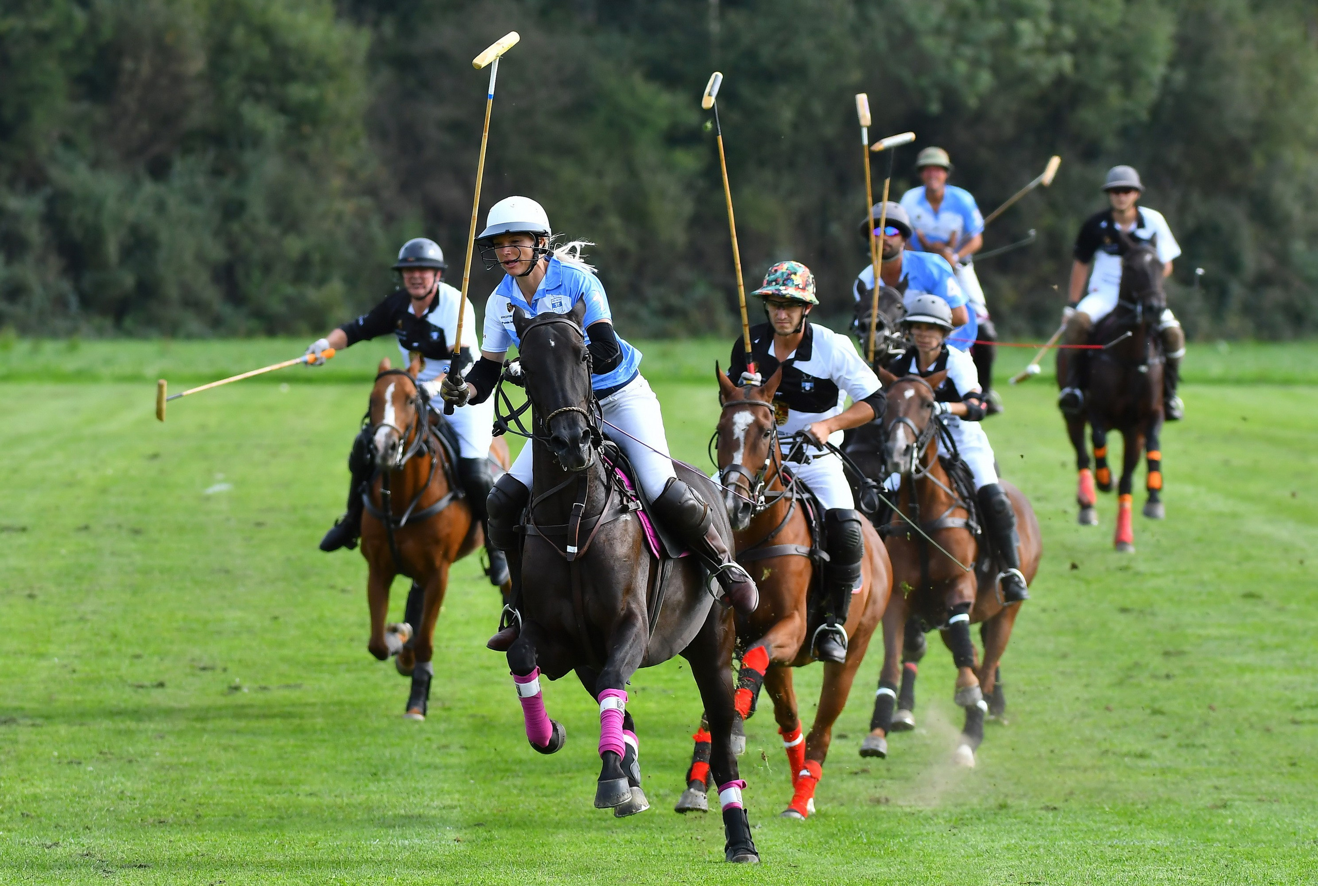 Polo art photos. Art photos of horses — ARTUR BABOEV | Photographer