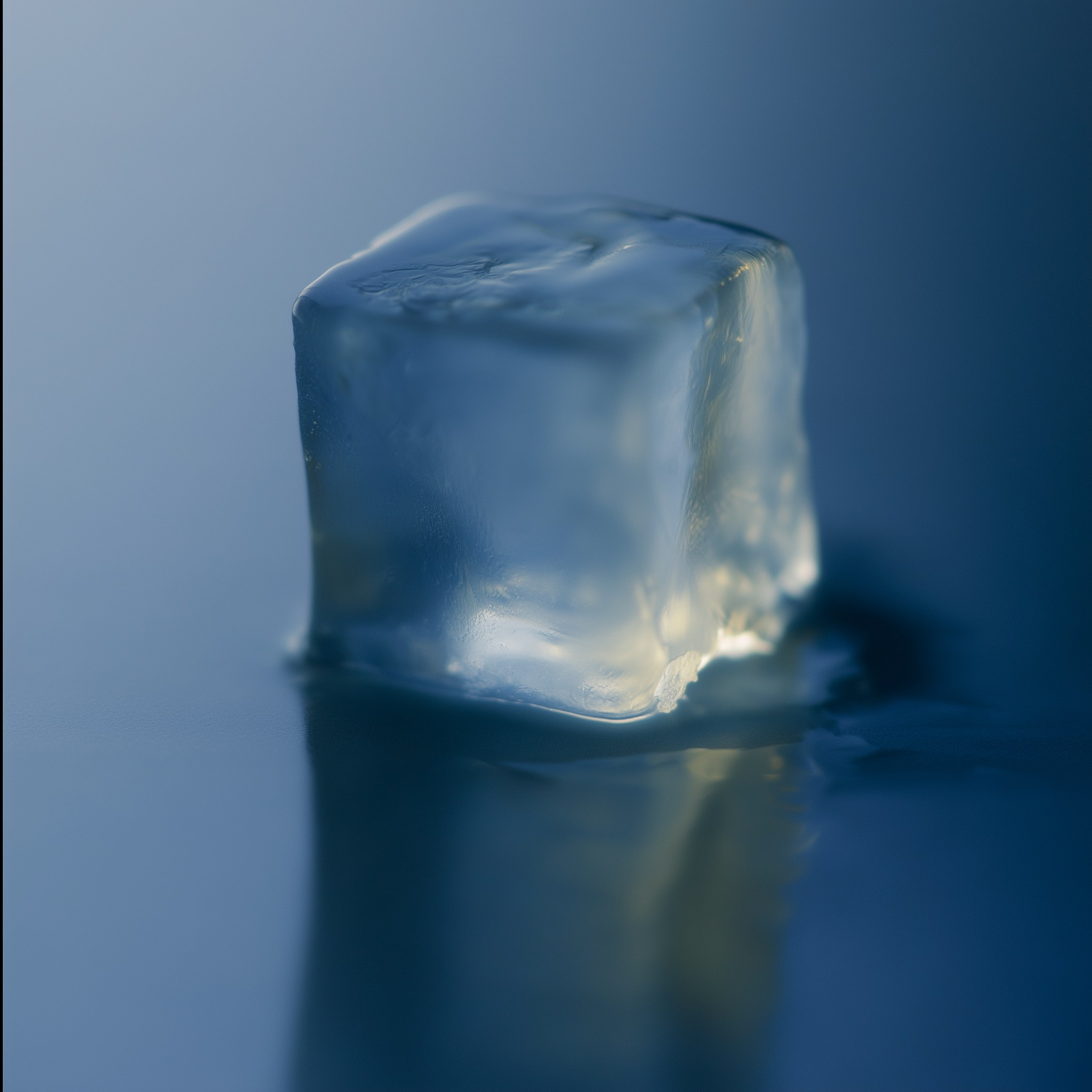 AI — artist | Documentary Photographer St. Petersburg, Milan