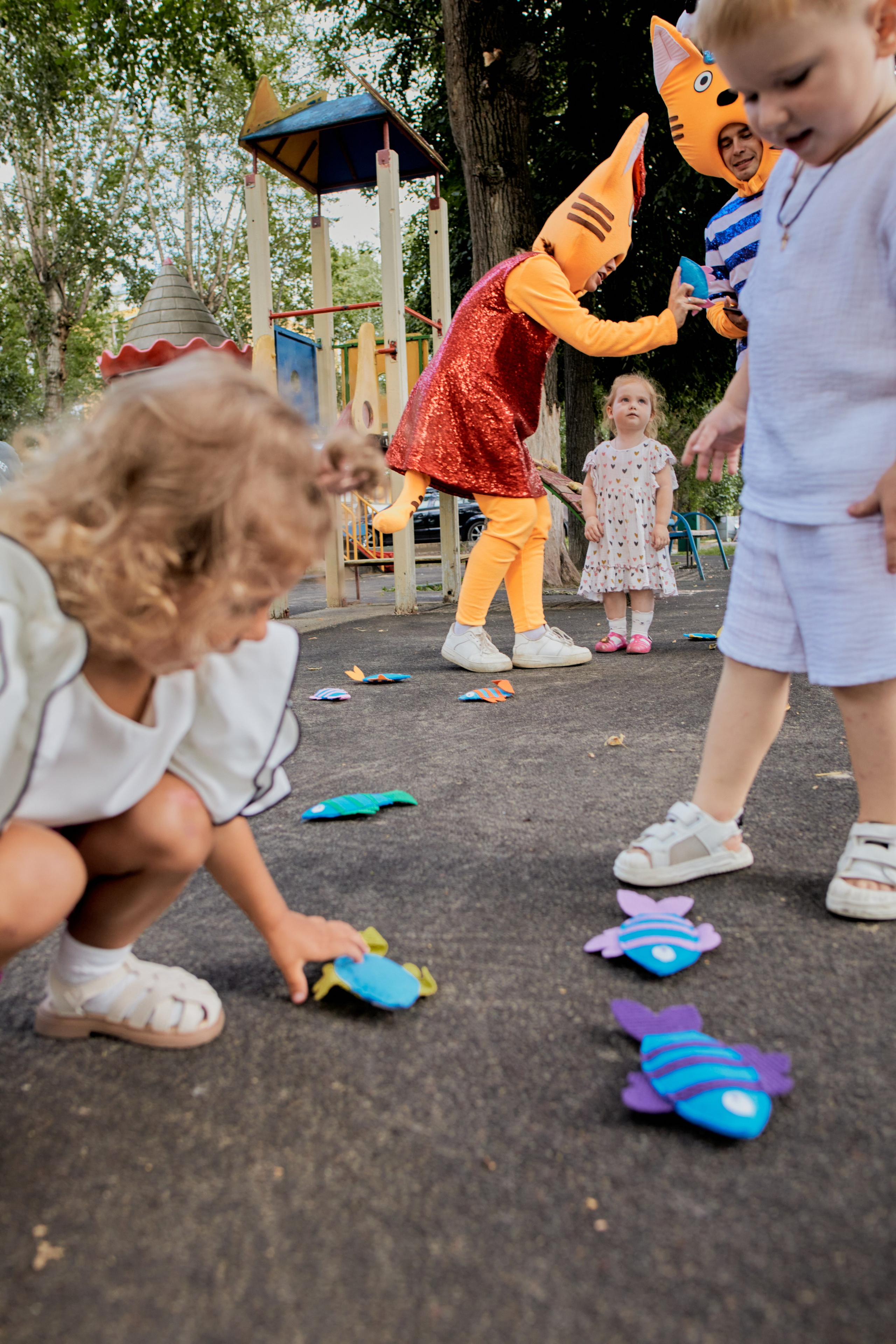Три кота. Фотограф Москва