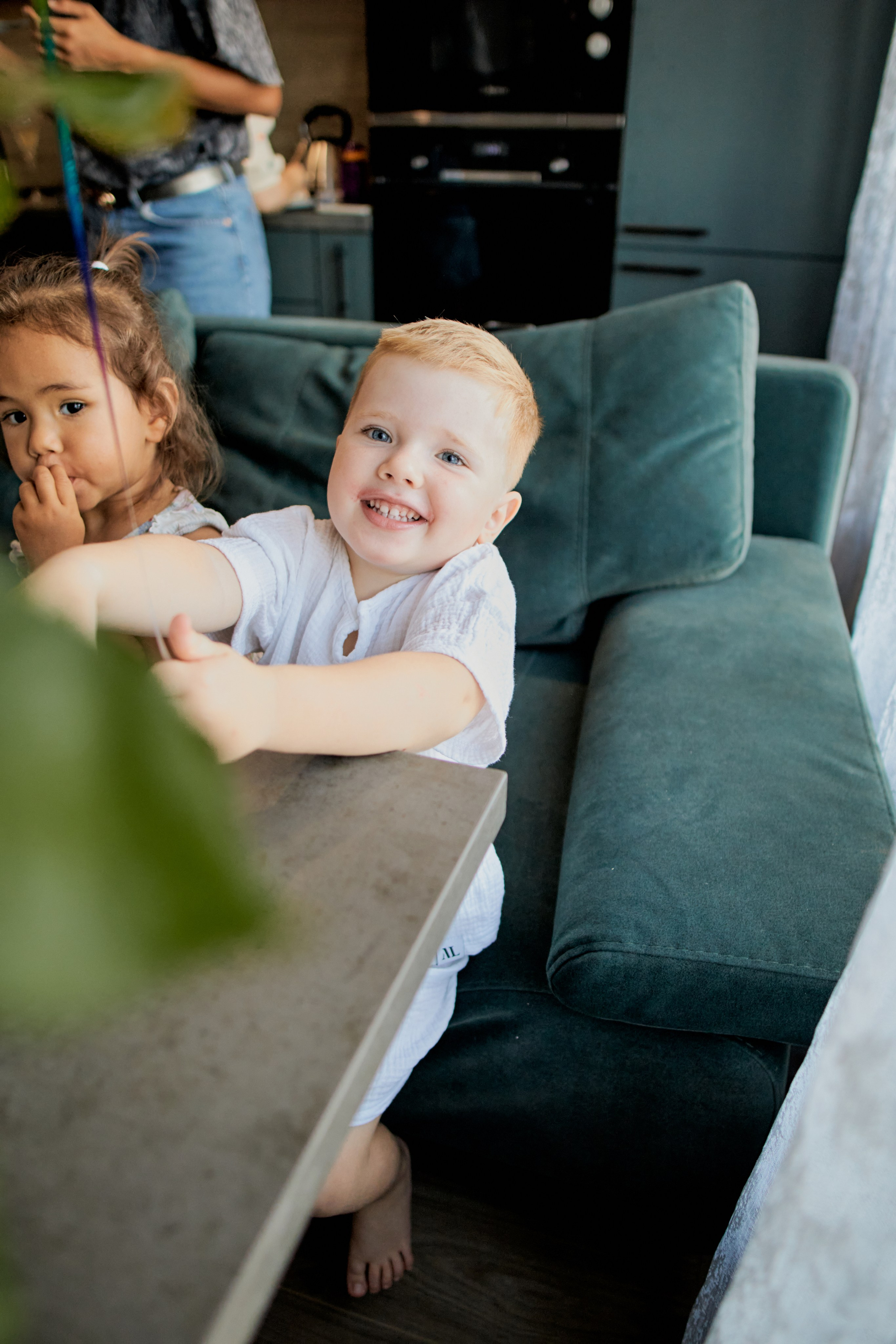 Три кота. Фотограф Москва