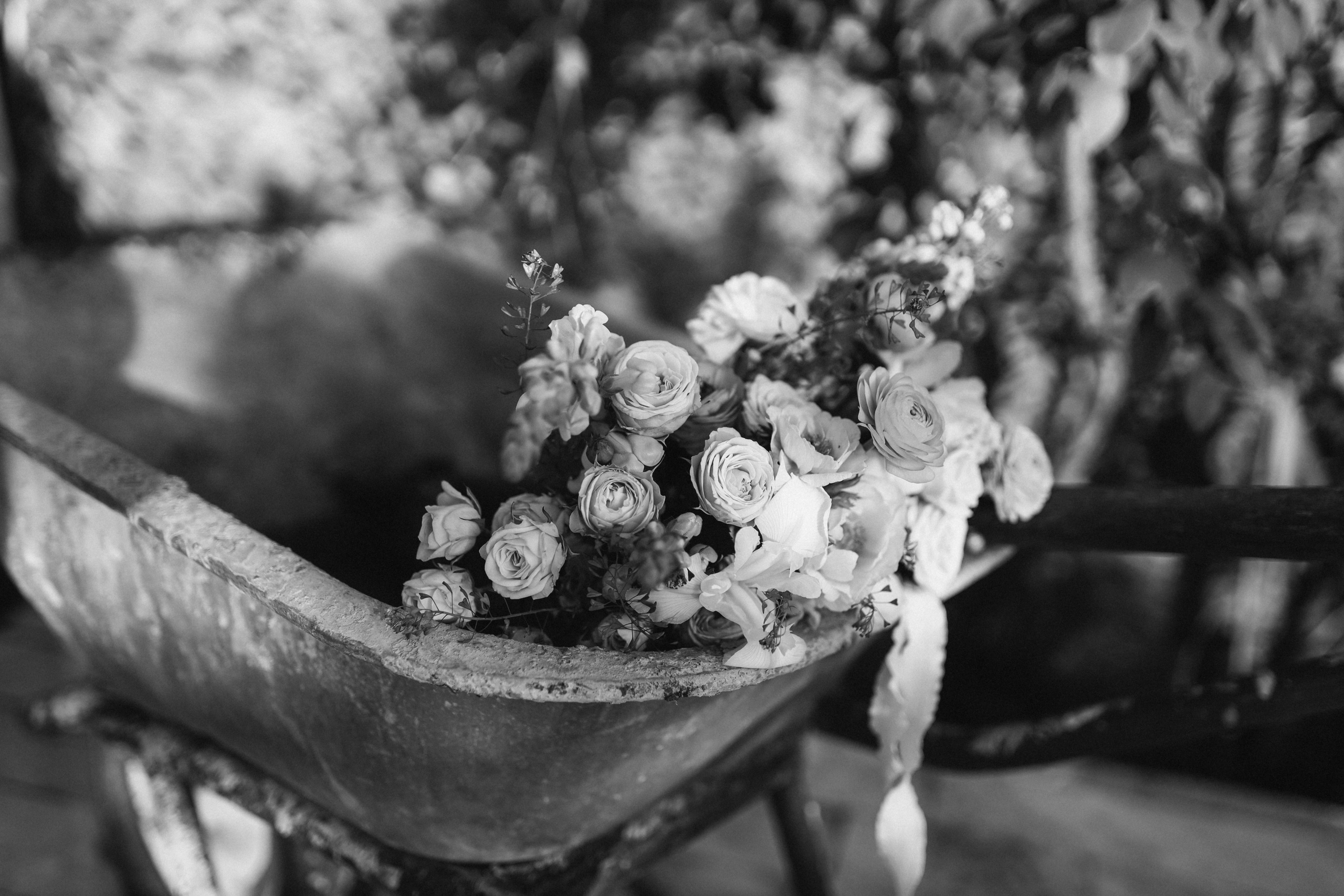 Портфолио. Свадебный фотограф Москва Виктория Васильева