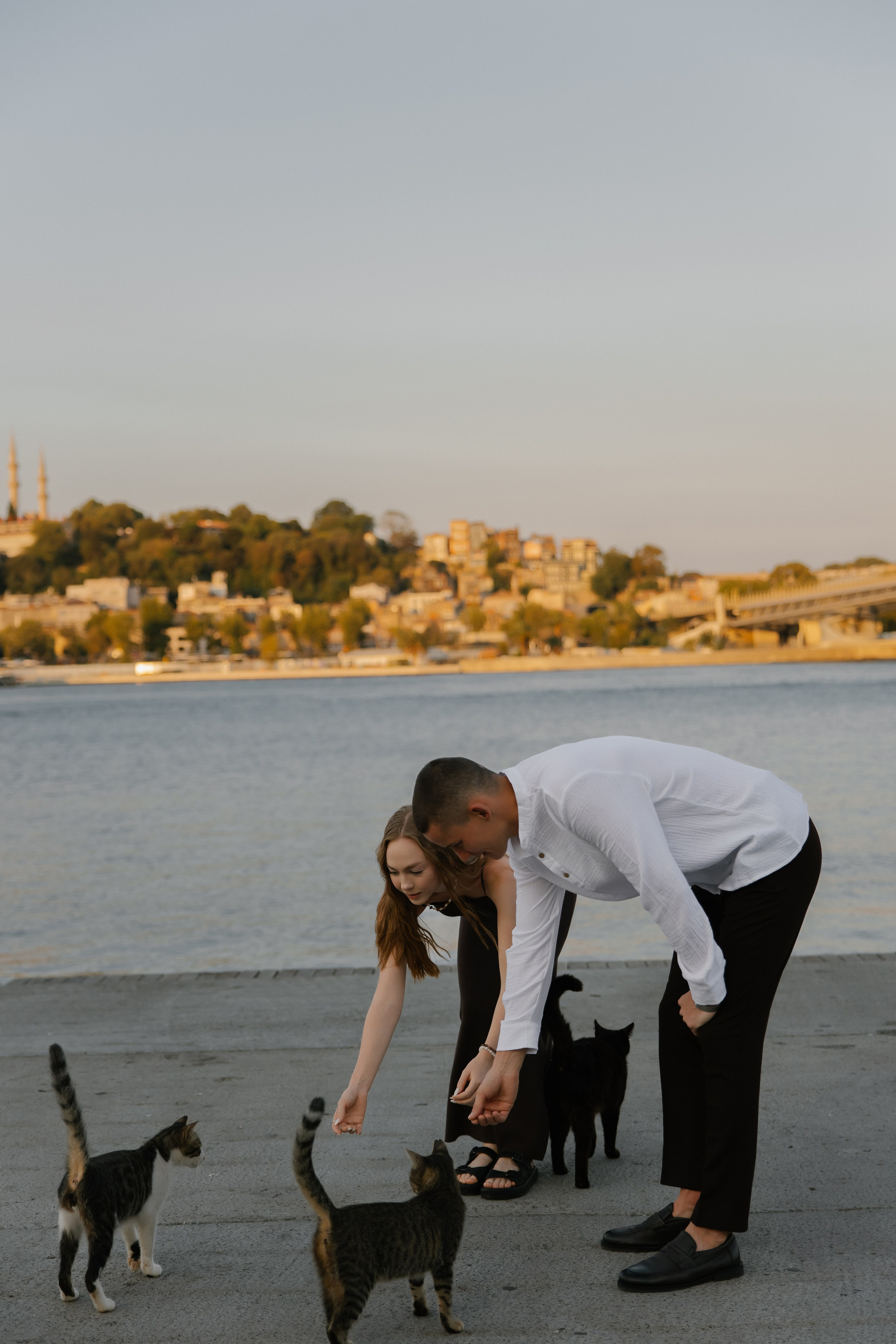 На рассвете