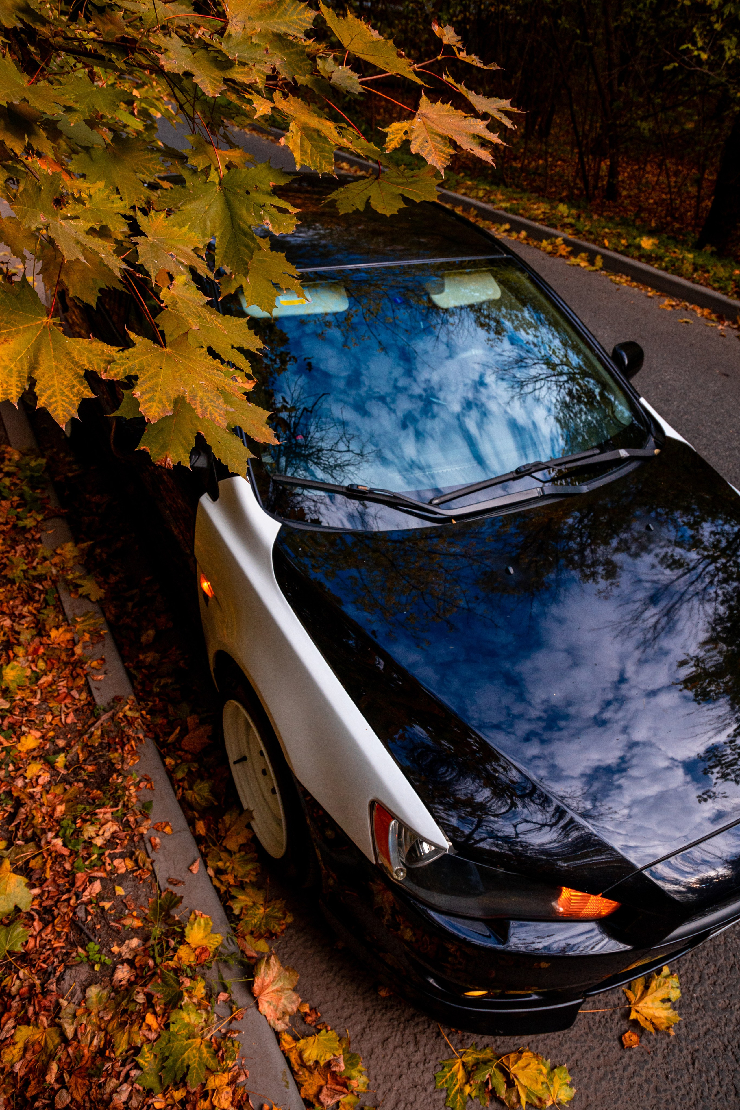Lancer. Фотограф Анастасия Сонина