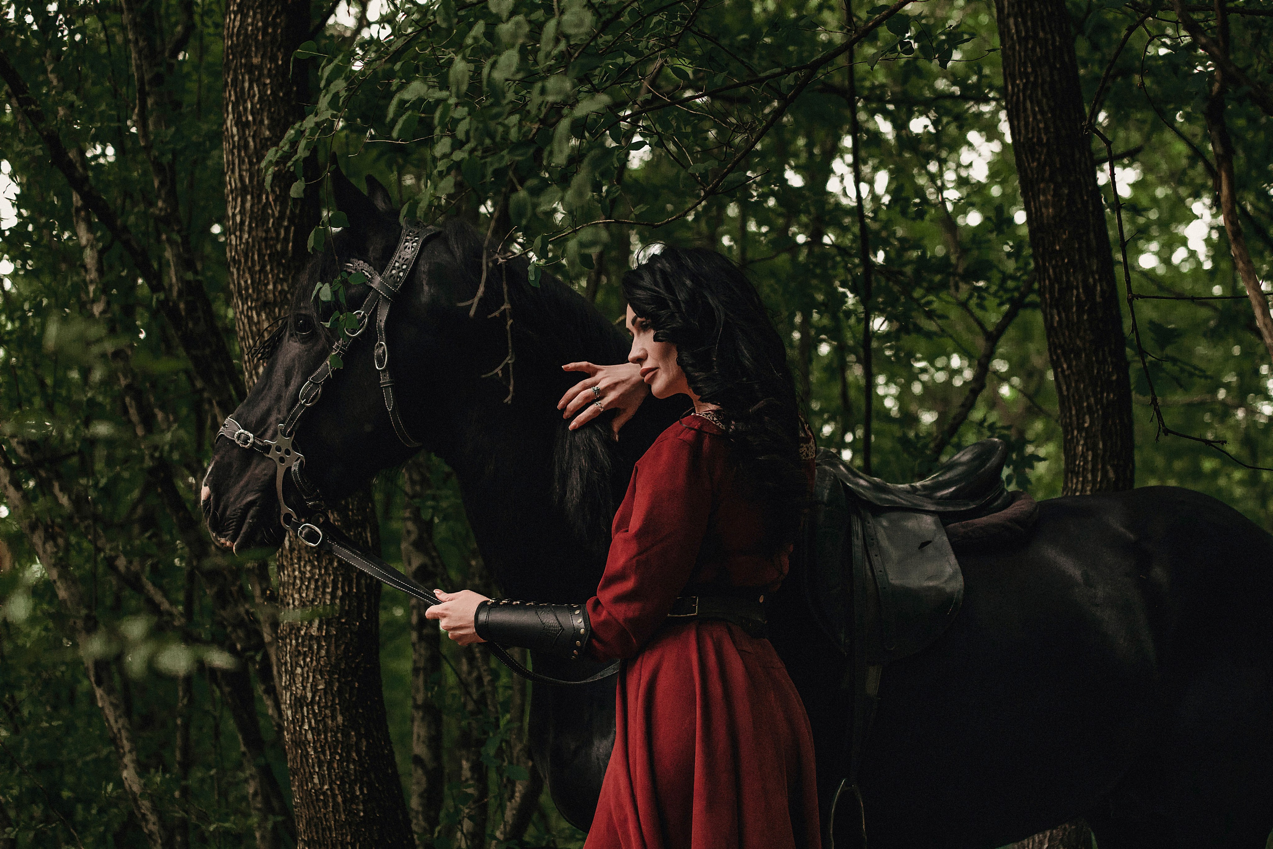 Викинг. Конный и театральный фотограф Анапа