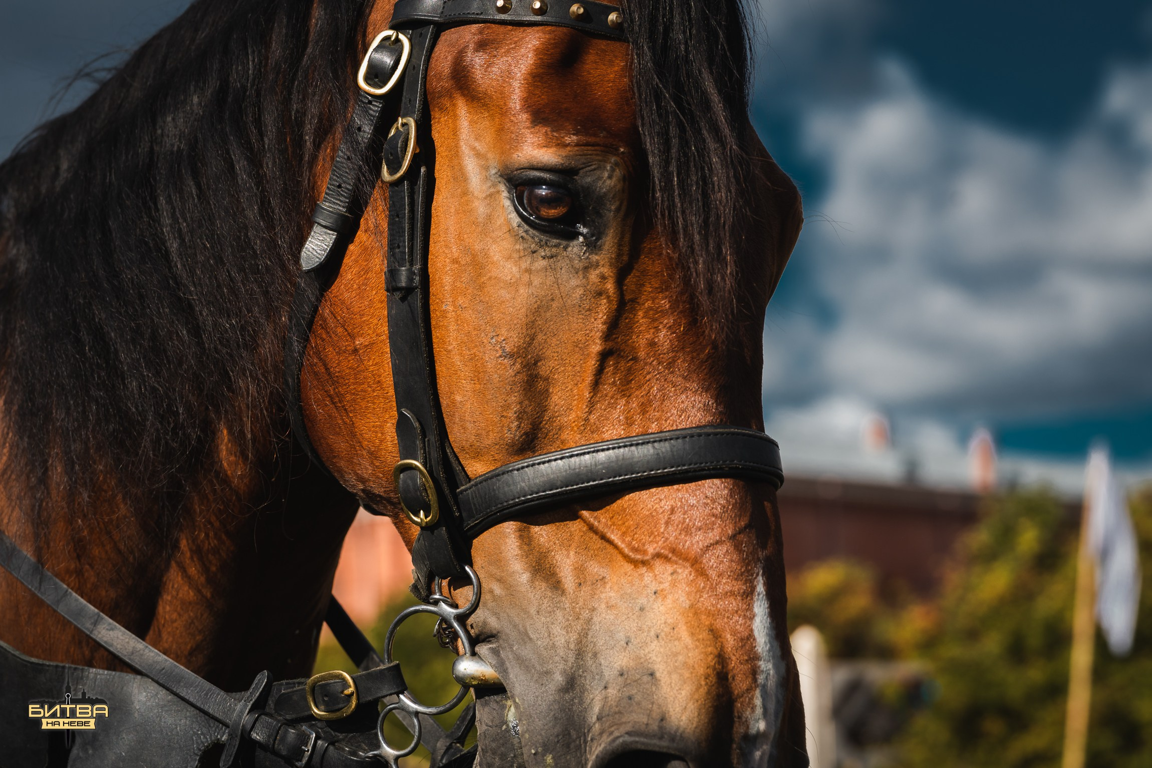 Репортажный фотограф в Санкт-Петербурге — Дмитрий Соколов