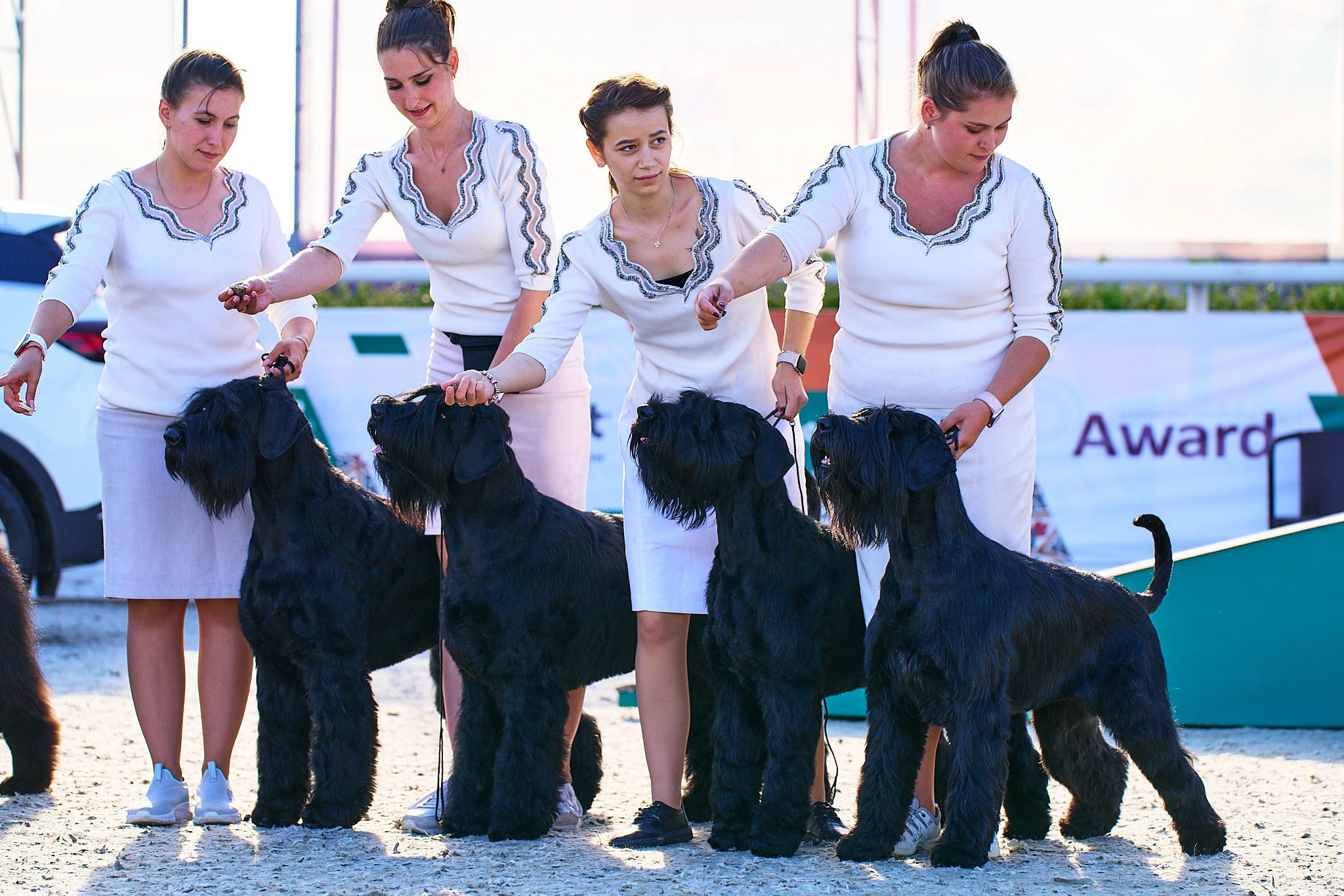 08.06.2024 «РОССИЯ. КУБОК РКФ 2024»