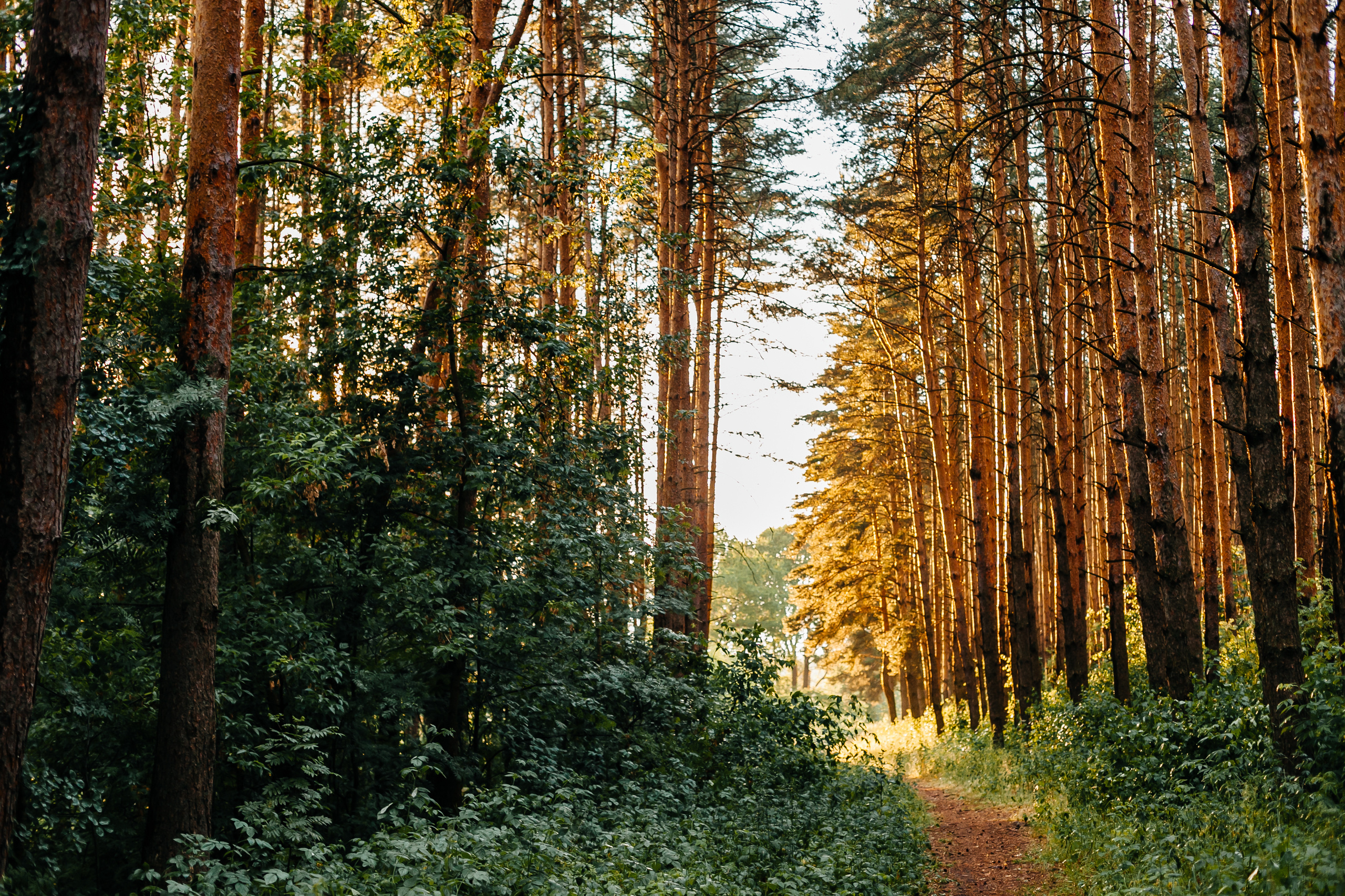 Фотосессия лавстори. Свадебный и контент фотограф в Нижнем Новгороде Владимир Пресняков