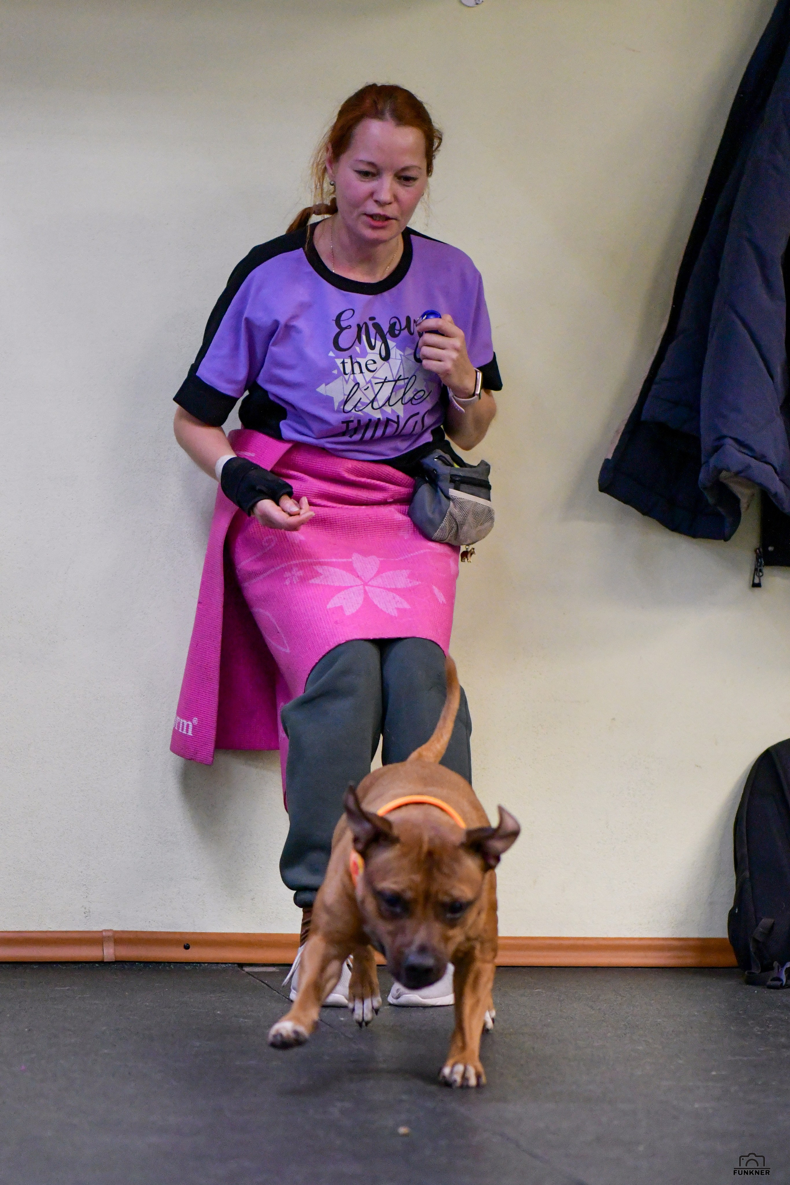 Кинологический клуб «Бодрый хвост». Свой взгляд через объектив