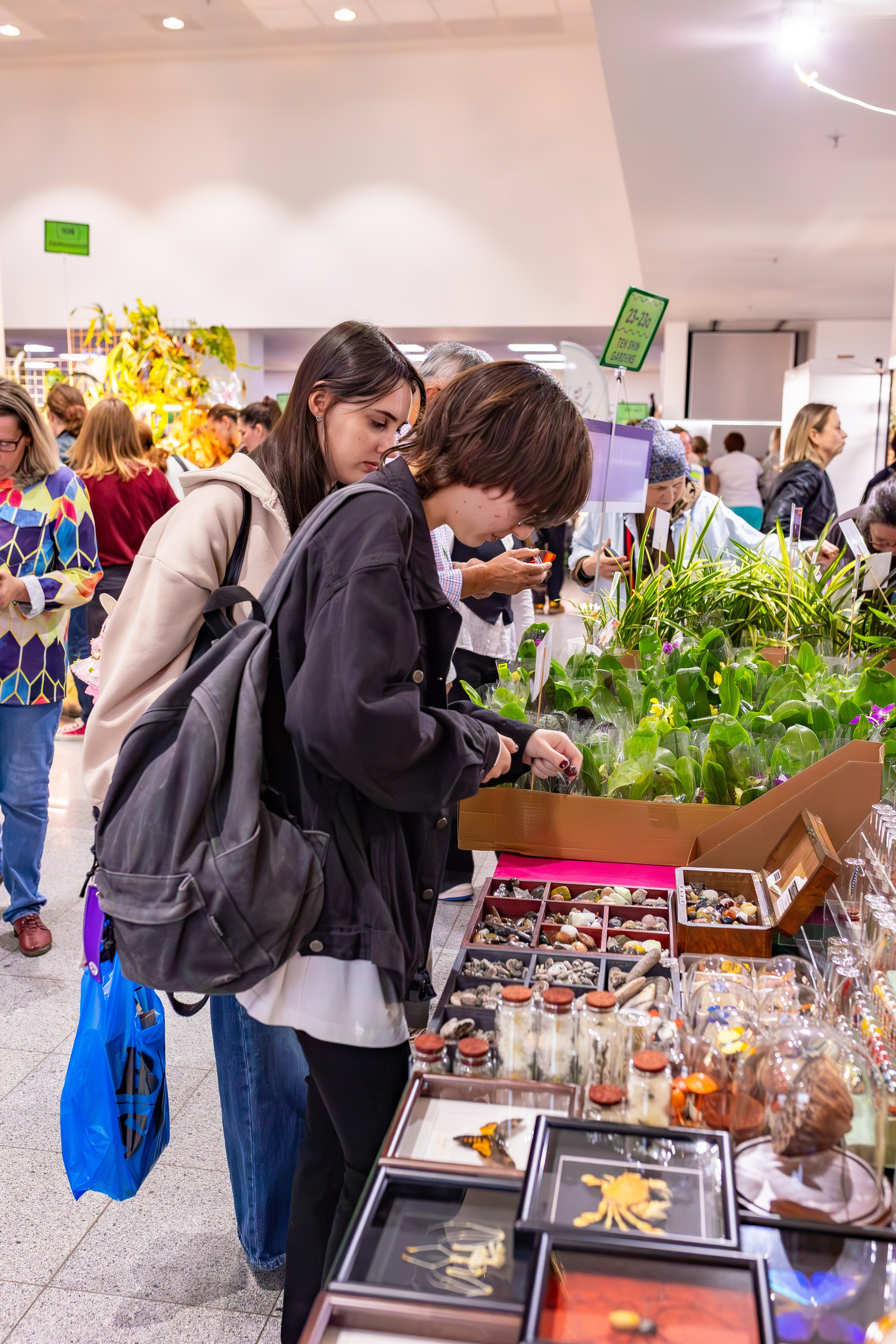 Орхидиум сентябрь 2025. Александра Куликова фотограф, Москва