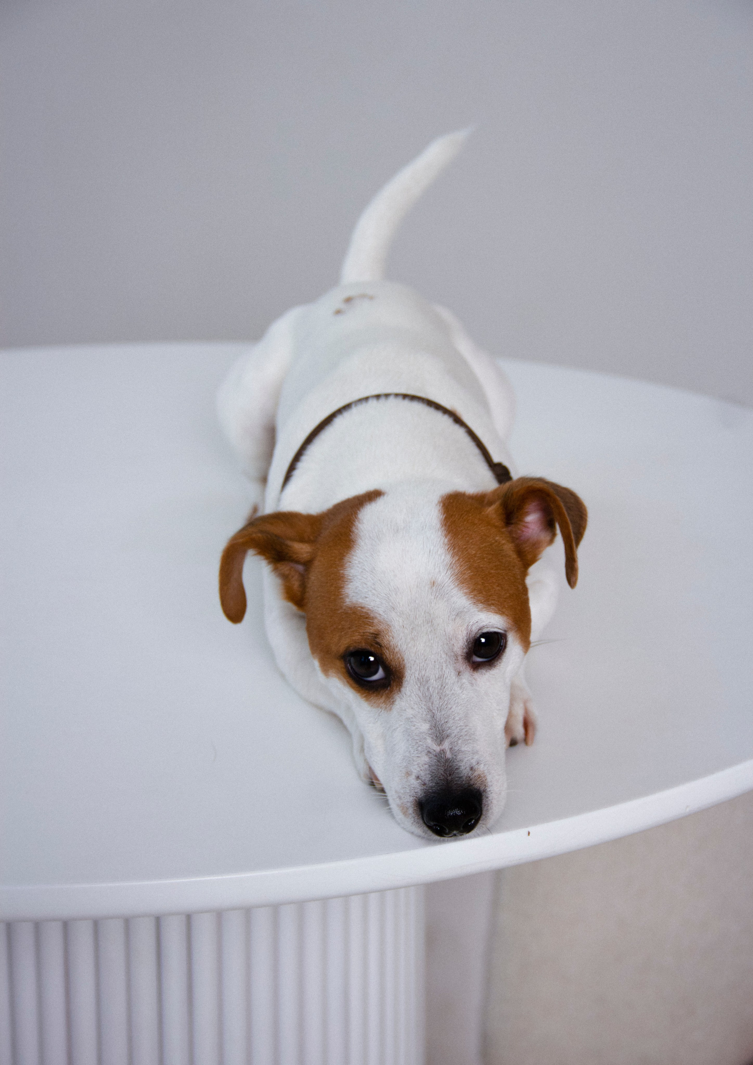 Валерия и Алексей. Фотограф в Санкт-Петербурге Смирнова Диана