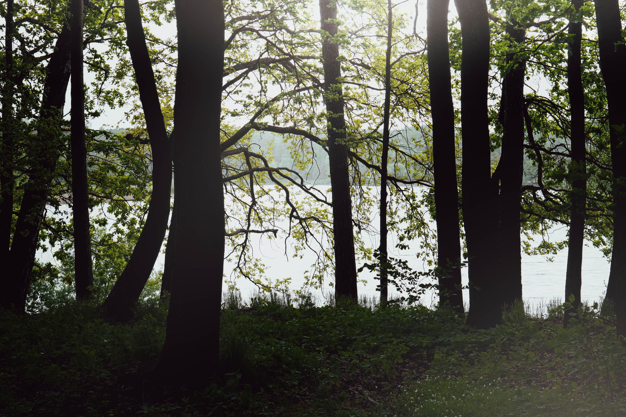 Уличная съёмка (2). Видео и Фото