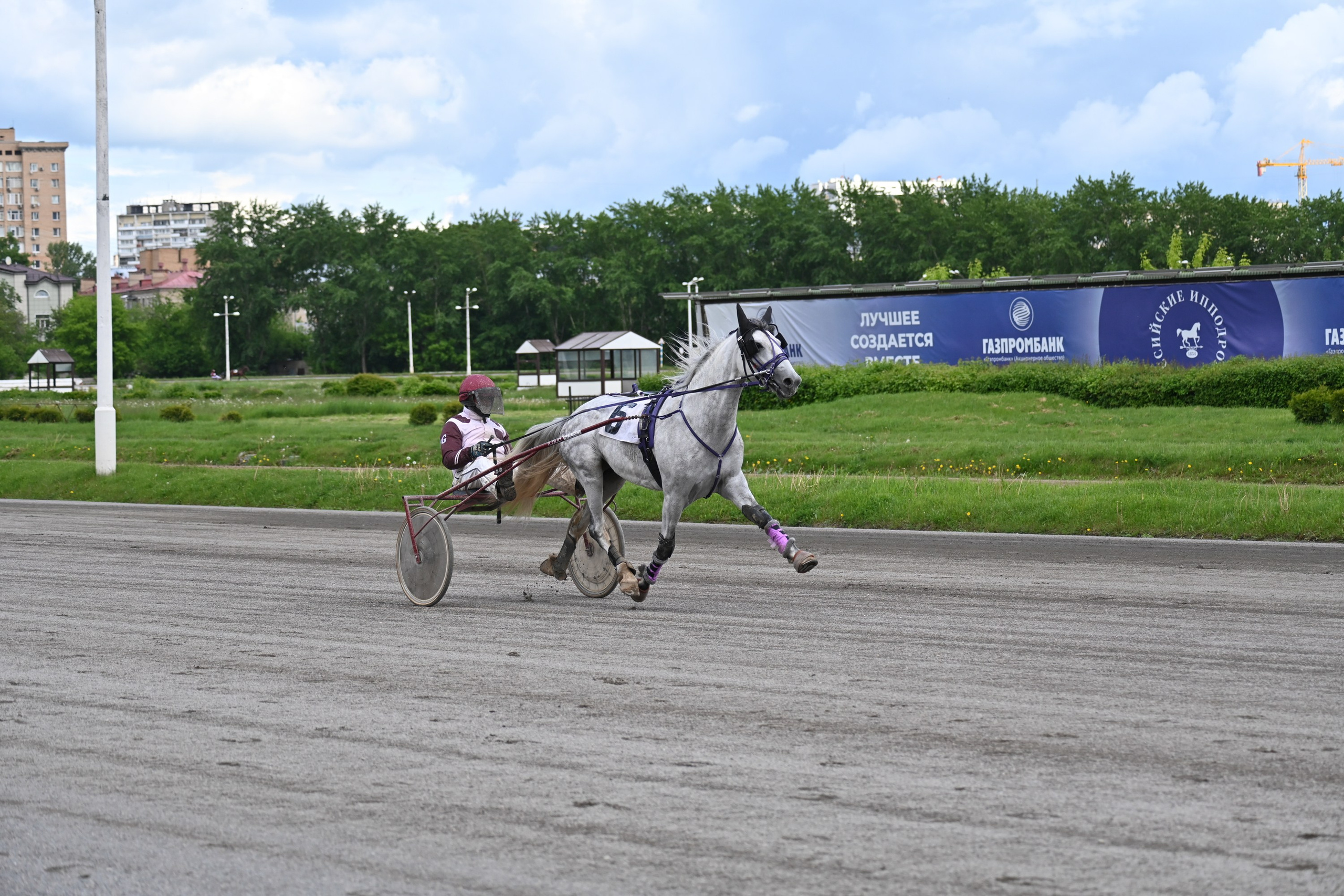 Московский ипподром. Fotolux