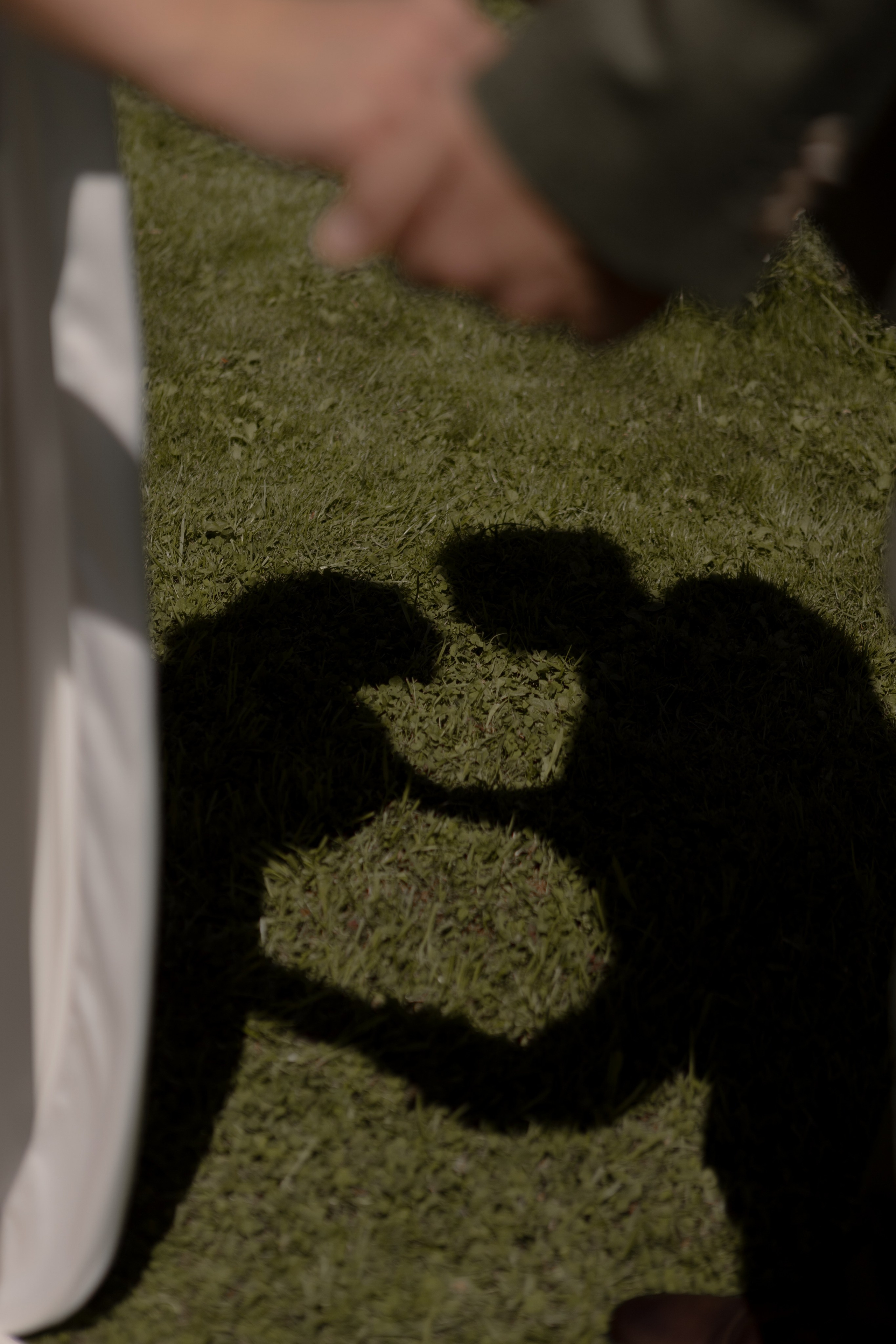 Родион и Юлия / Сад Форли. Свадебный фотограф Йошкар-Ола Казань