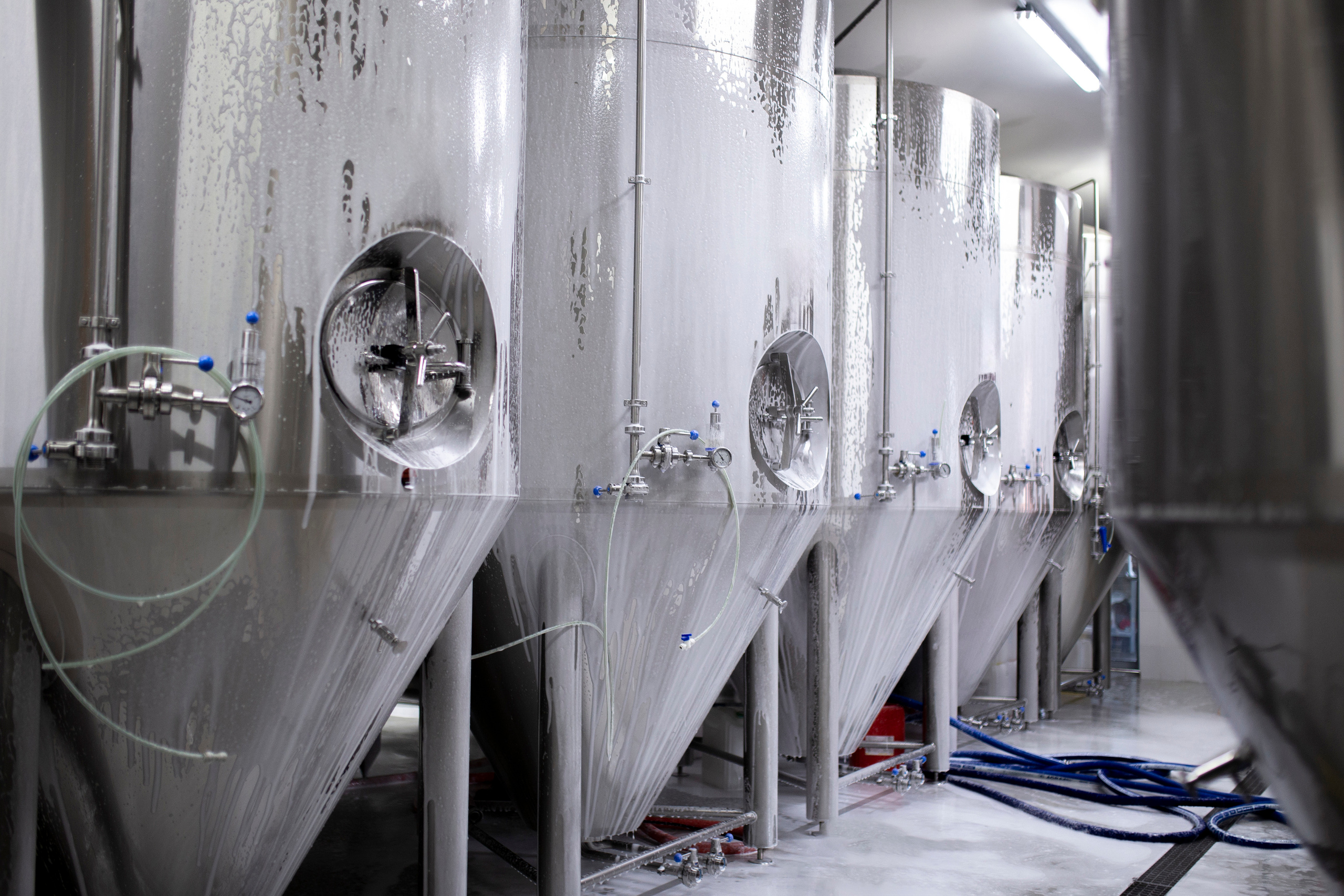 Технологии. Съемка фото и видео контента. Михаил Руденко