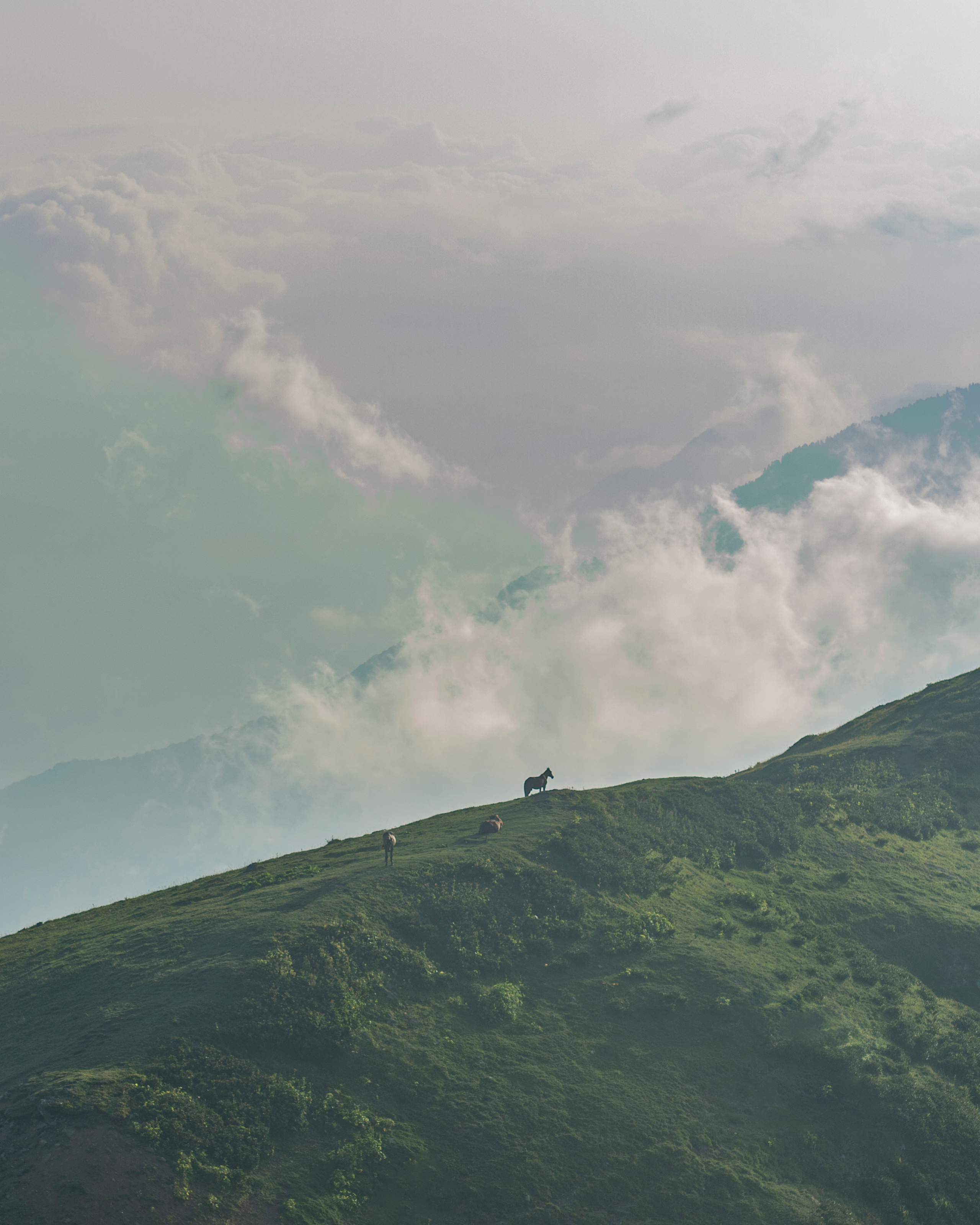 Sochi. Съемка фото и видео контента. Михаил Руденко