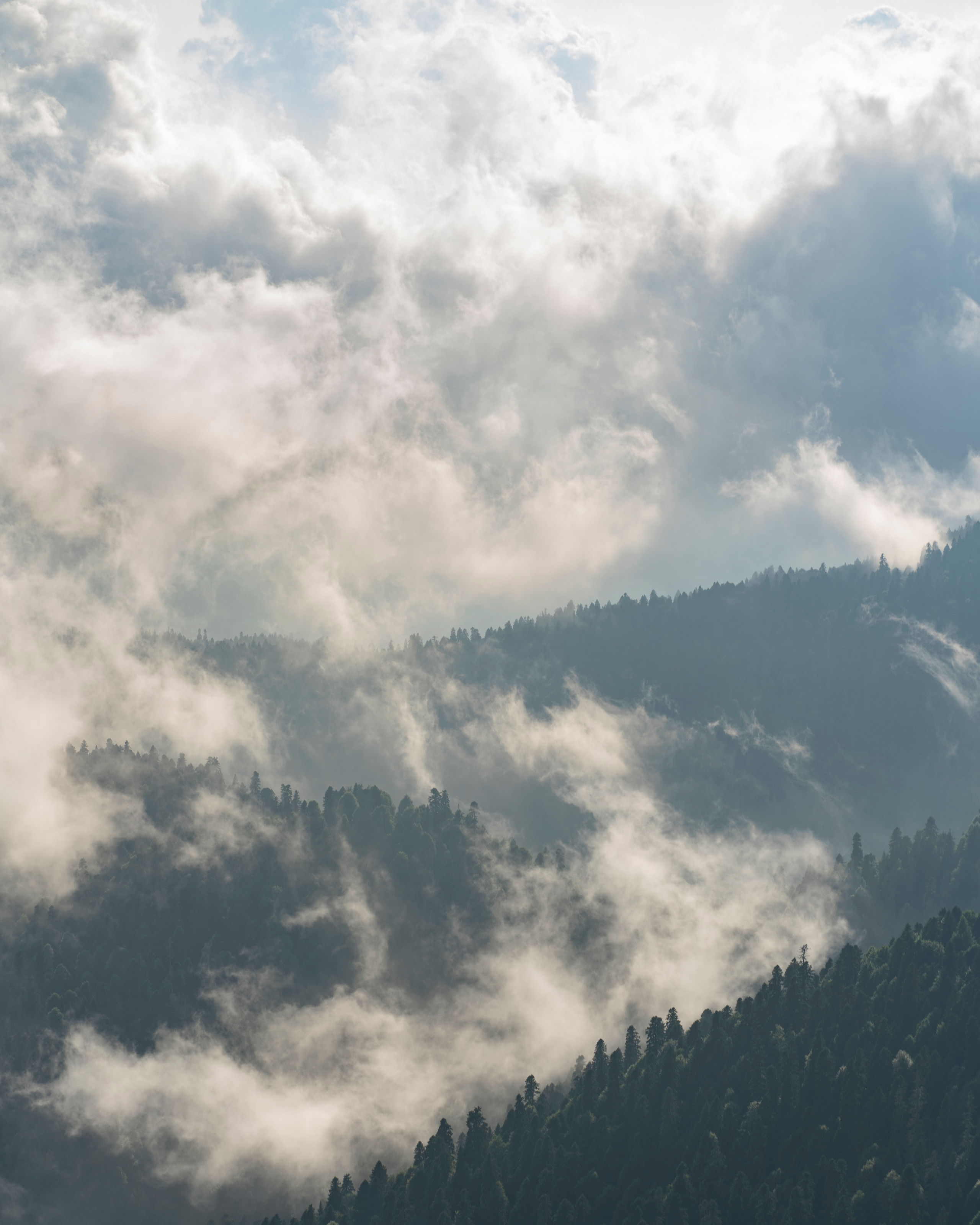 Sochi. Съемка фото и видео контента. Михаил Руденко