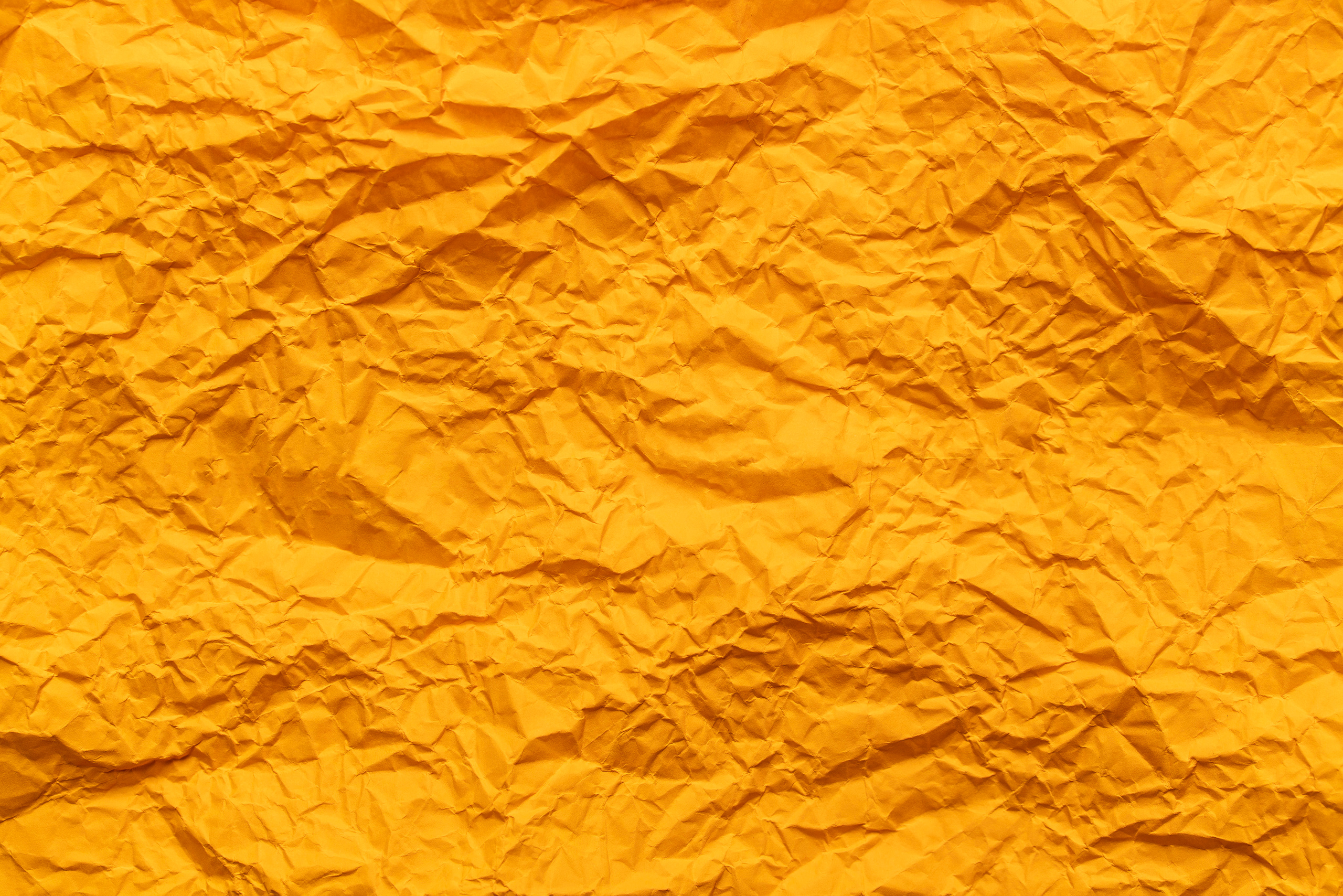 Концептуальная. Съемка фото и видео контента. Михаил Руденко