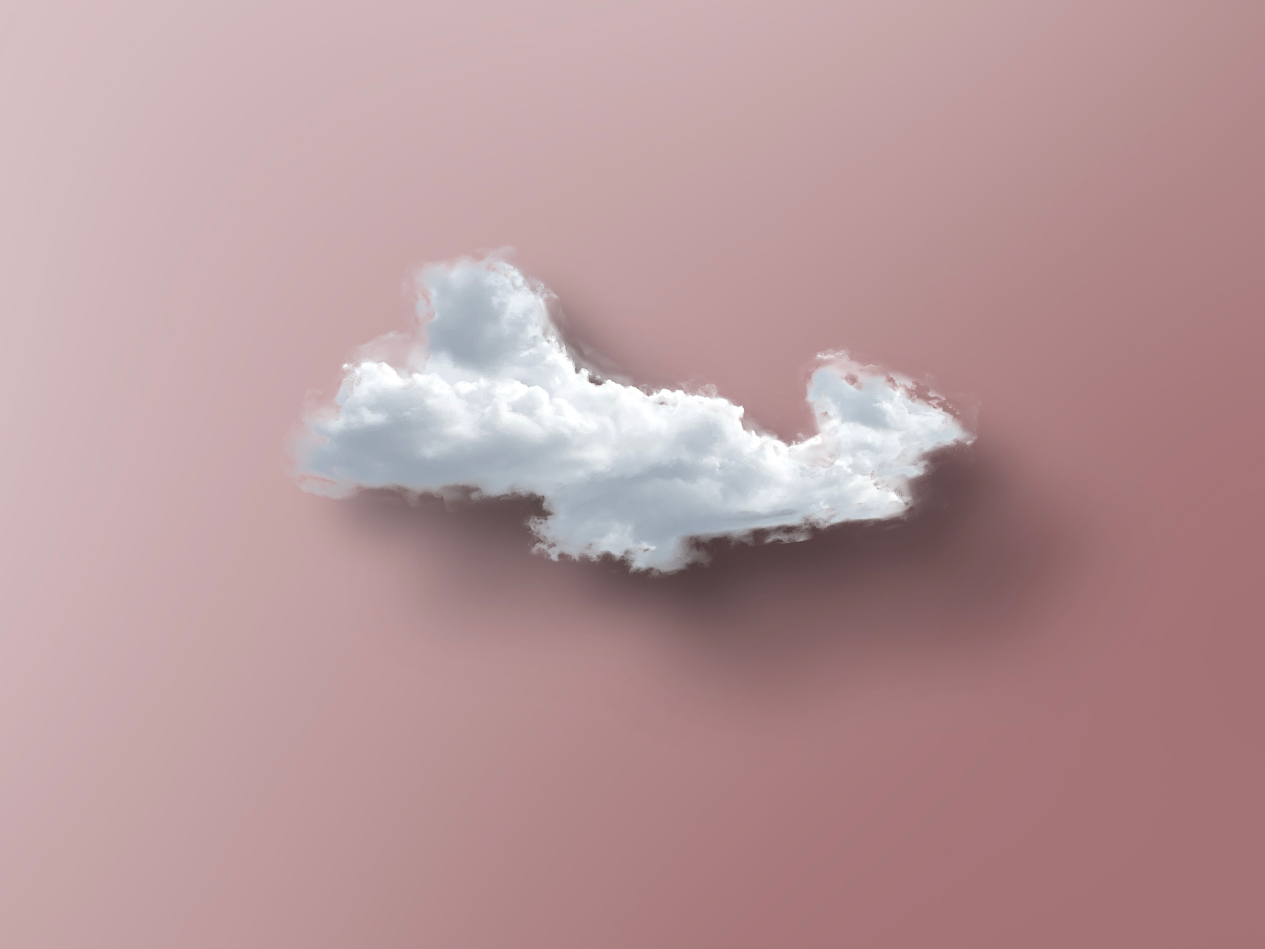 Концептуальная. Съемка фото и видео контента. Михаил Руденко