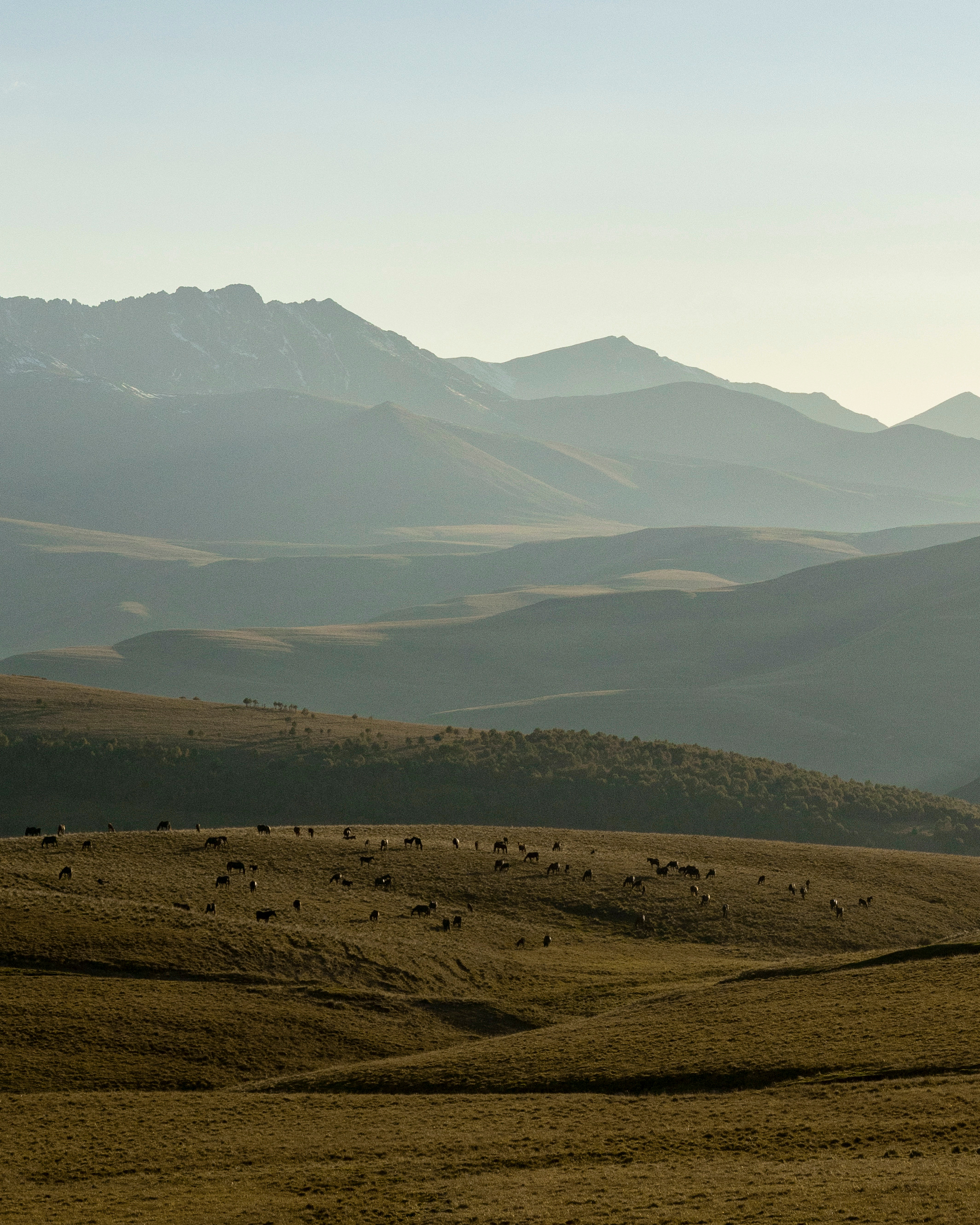 Elbrus. Съемка фото и видео контента. Михаил Руденко