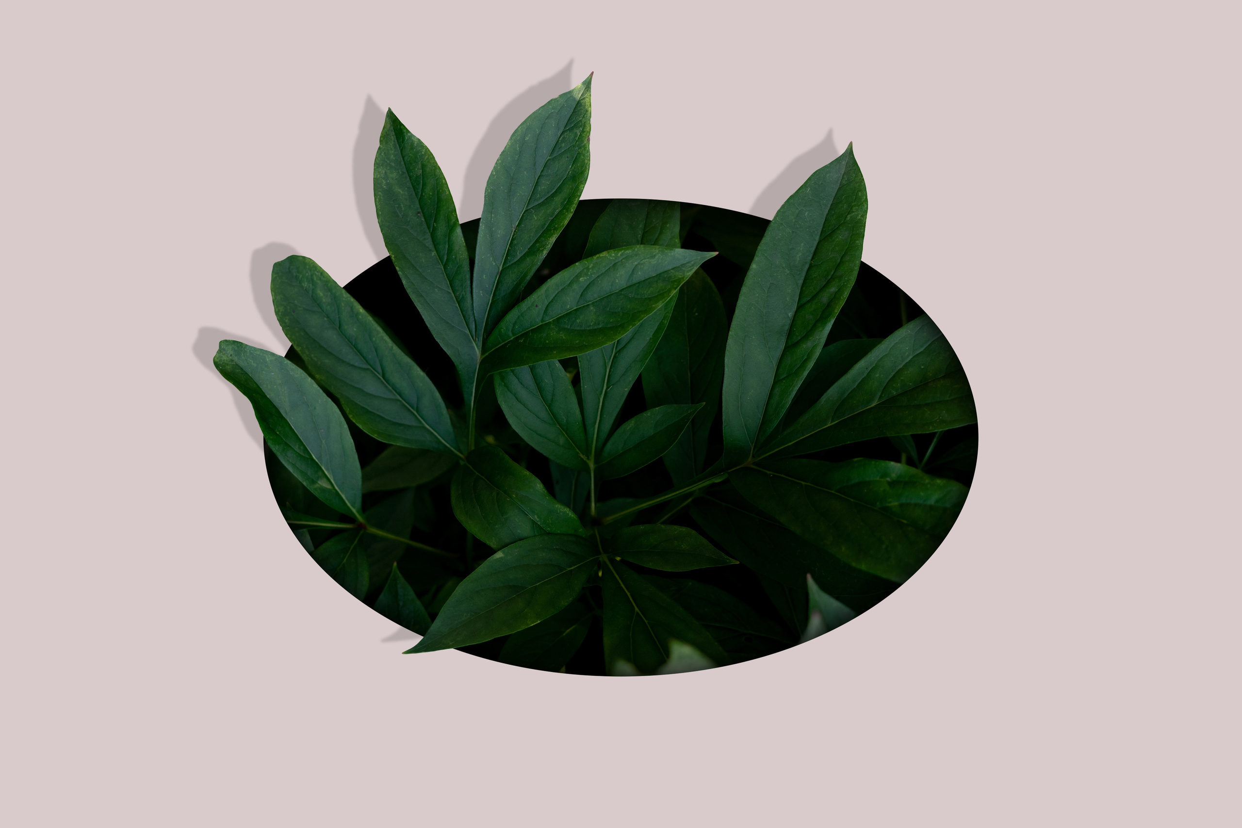 Абстракт креатив. Съемка фото и видео контента. Михаил Руденко