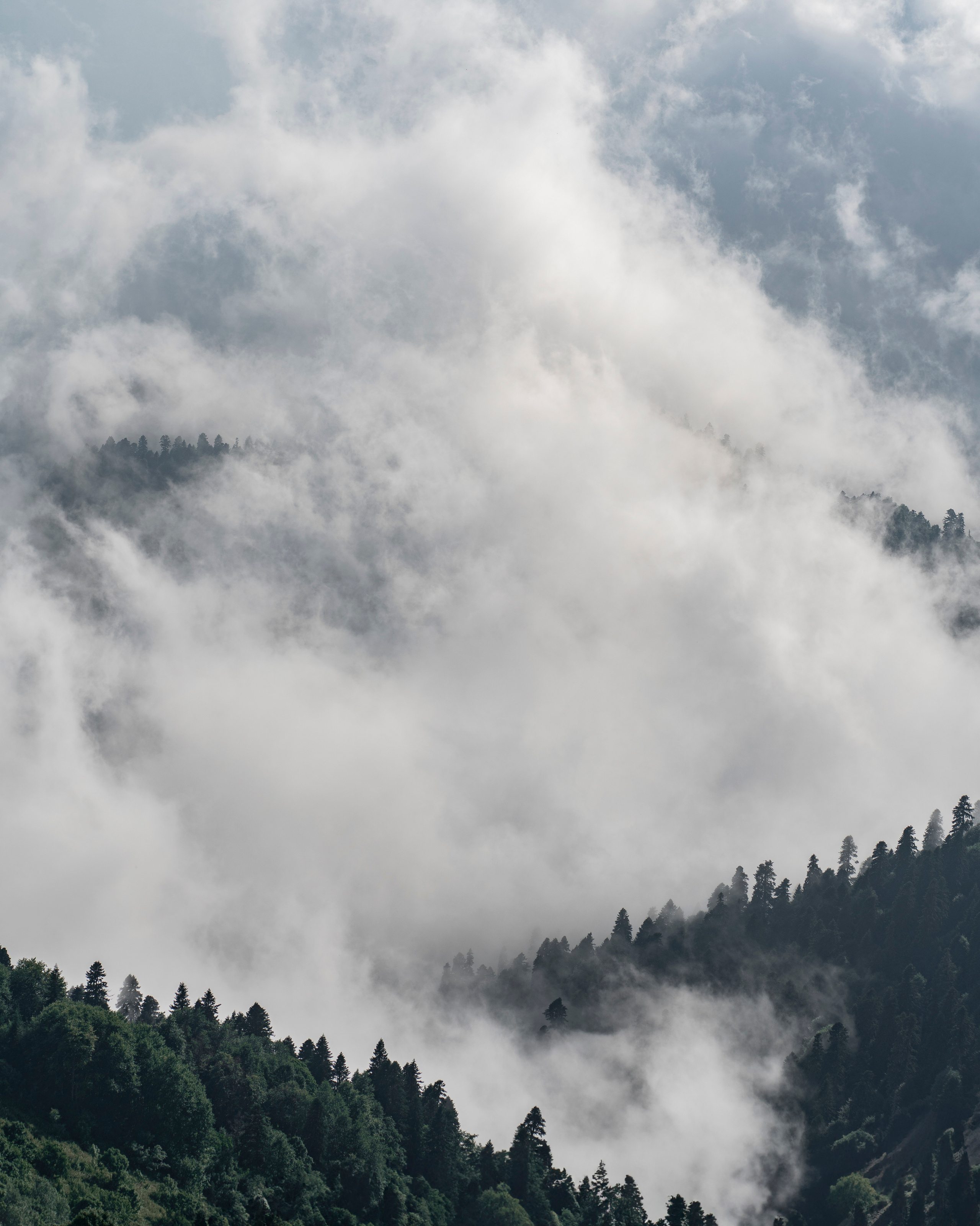Sochi. Съемка фото и видео контента. Михаил Руденко