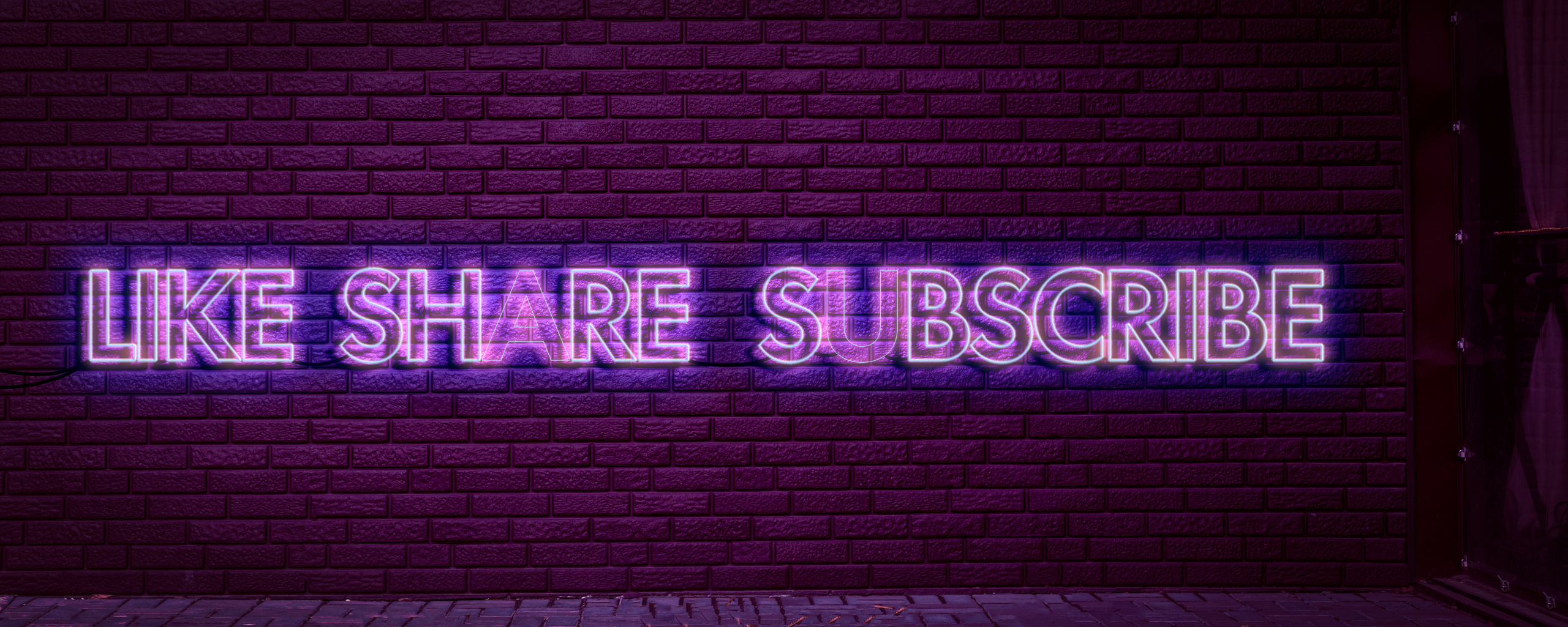 Neon. Съемка фото и видео контента. Михаил Руденко