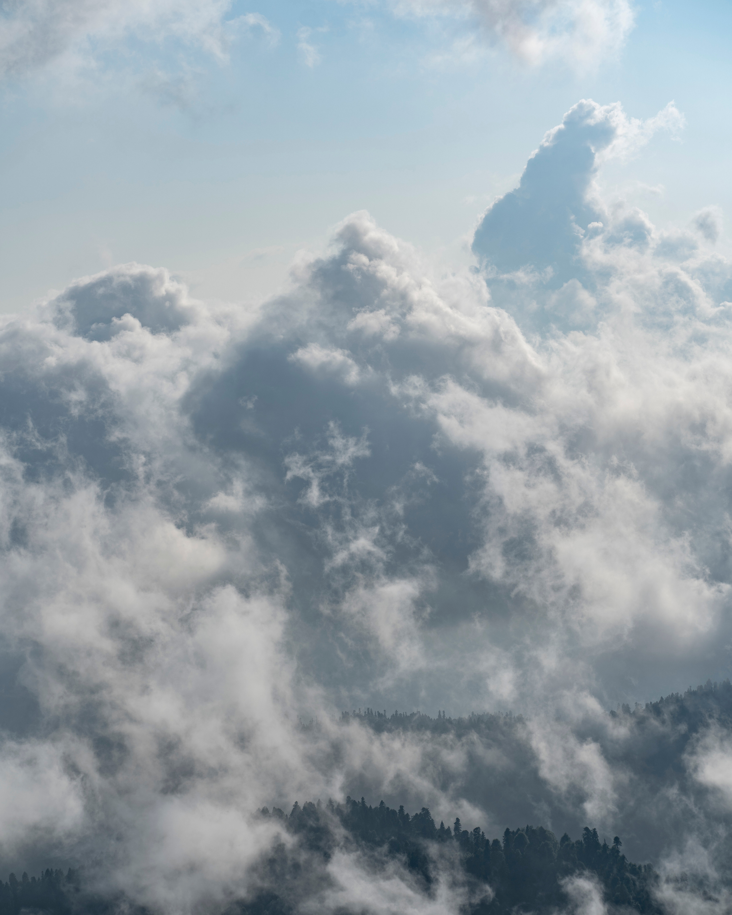 Sochi. Съемка фото и видео контента. Михаил Руденко