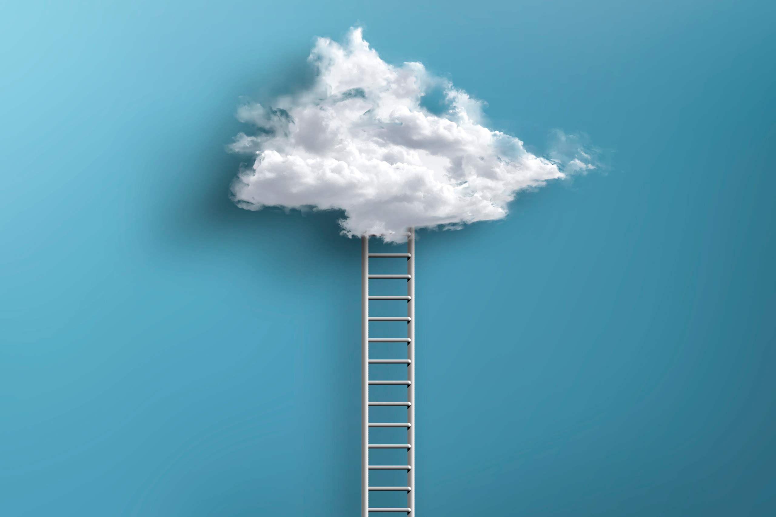 Концептуальная. Съемка фото и видео контента. Михаил Руденко