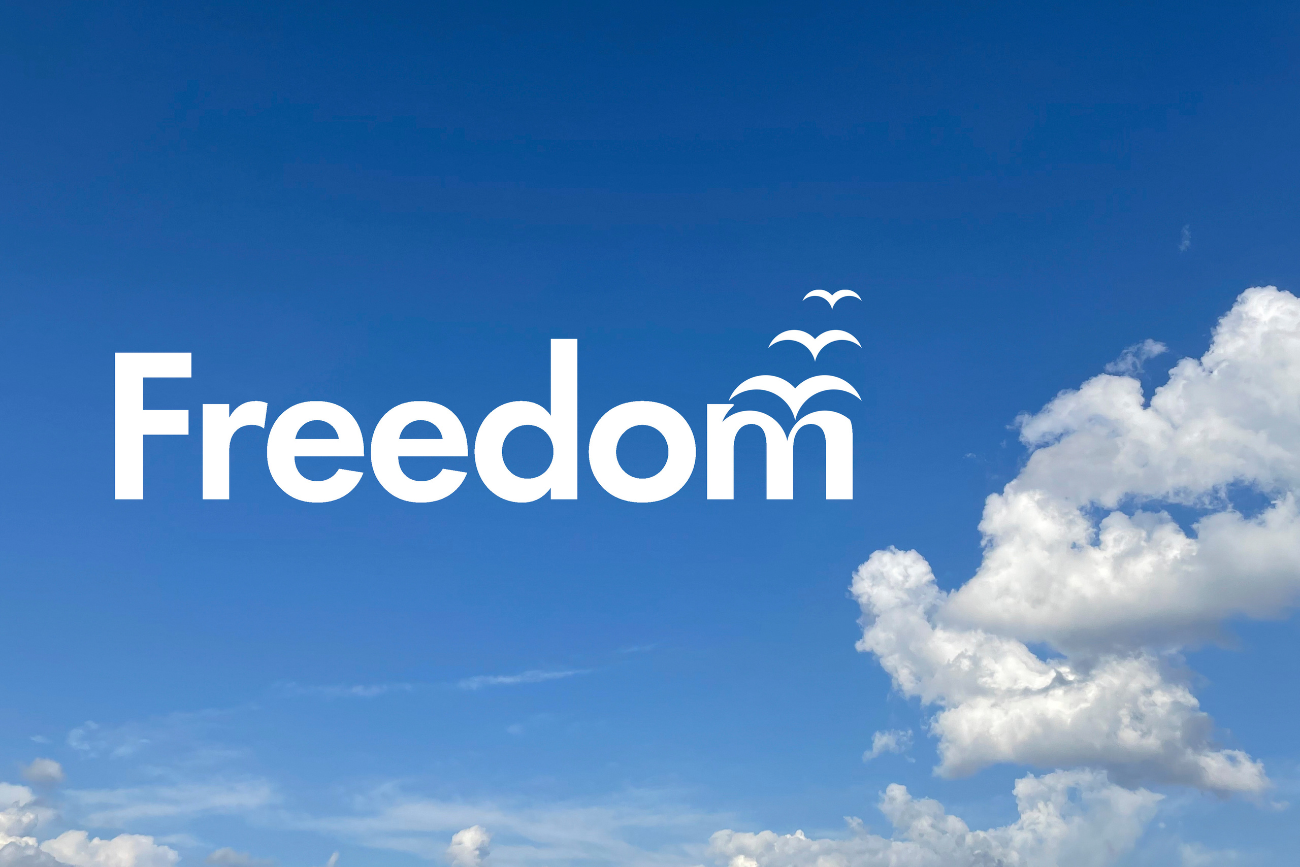 Концептуальная. Съемка фото и видео контента. Михаил Руденко