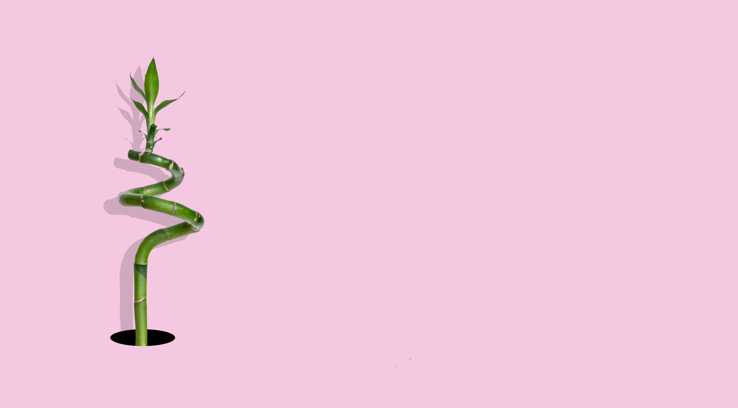 Абстракт креатив. Съемка фото и видео контента. Михаил Руденко