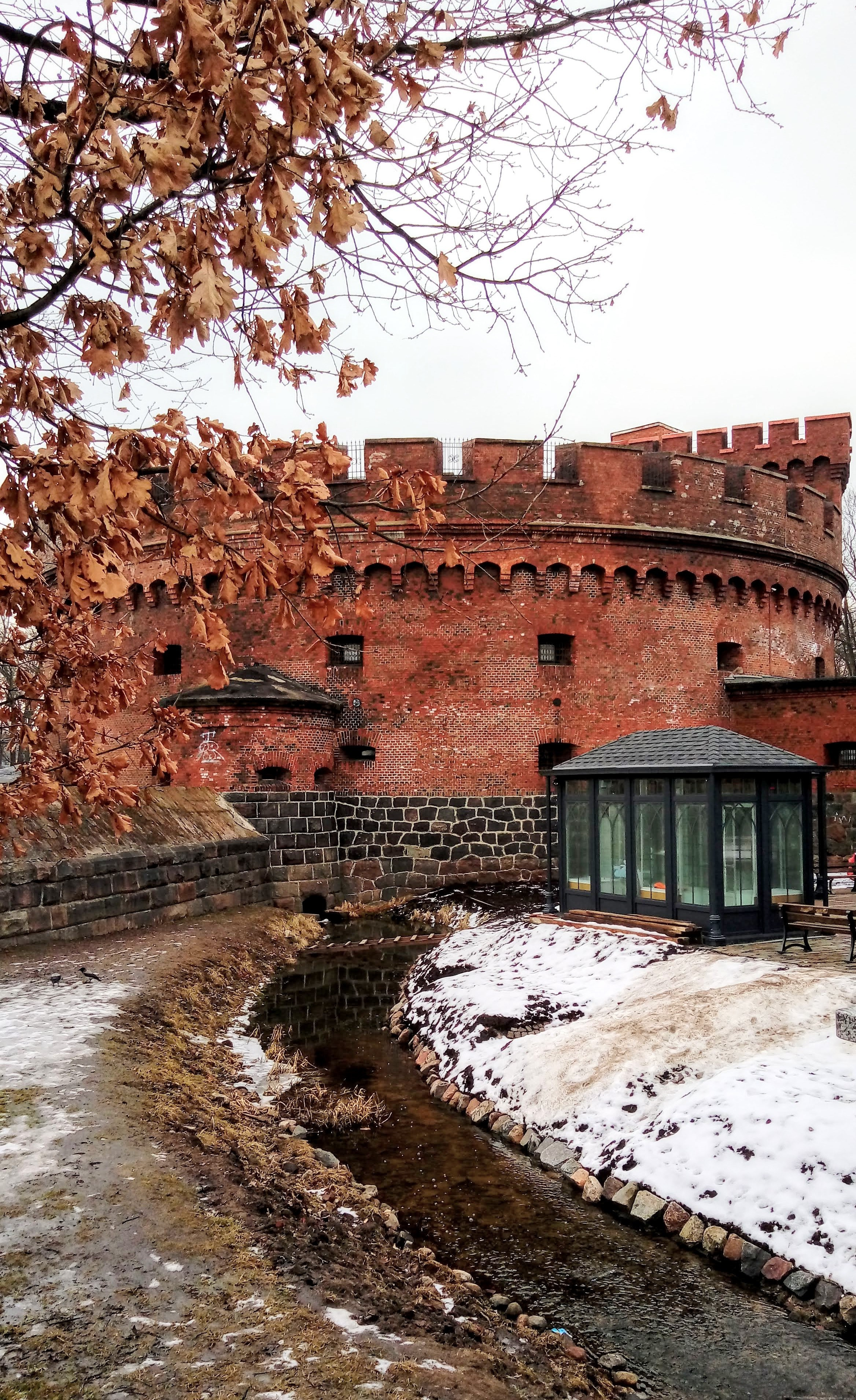 Калининград. Надежда Козлова, фотограф, Санкт — Петербург