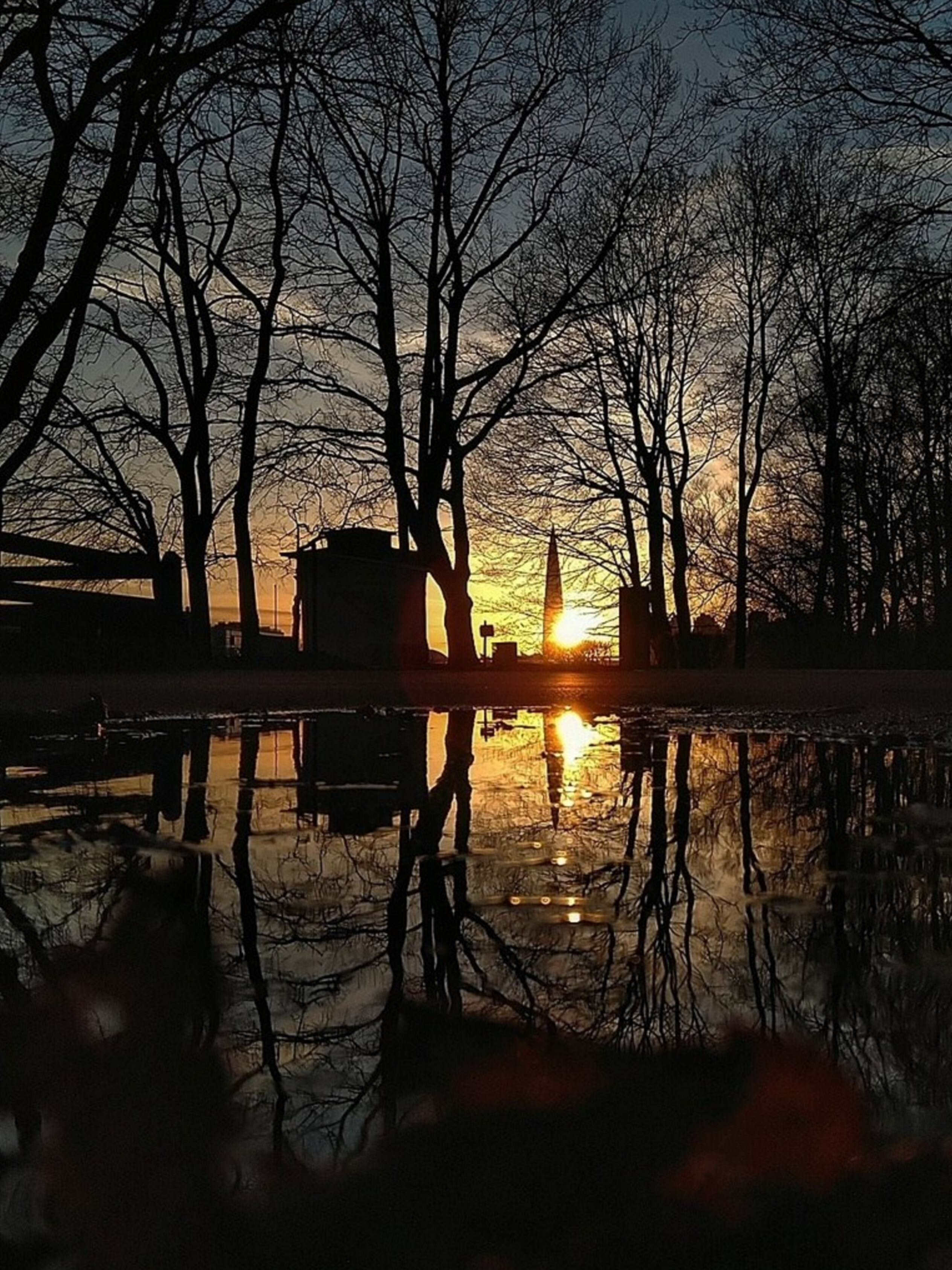 Sunset. Надежда Козлова, фотограф, Санкт — Петербург