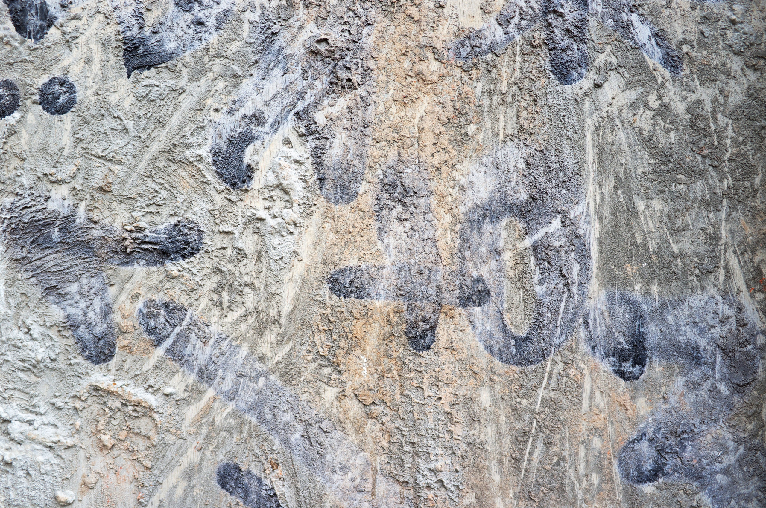 Стены. Миша Печёнкин | фотография