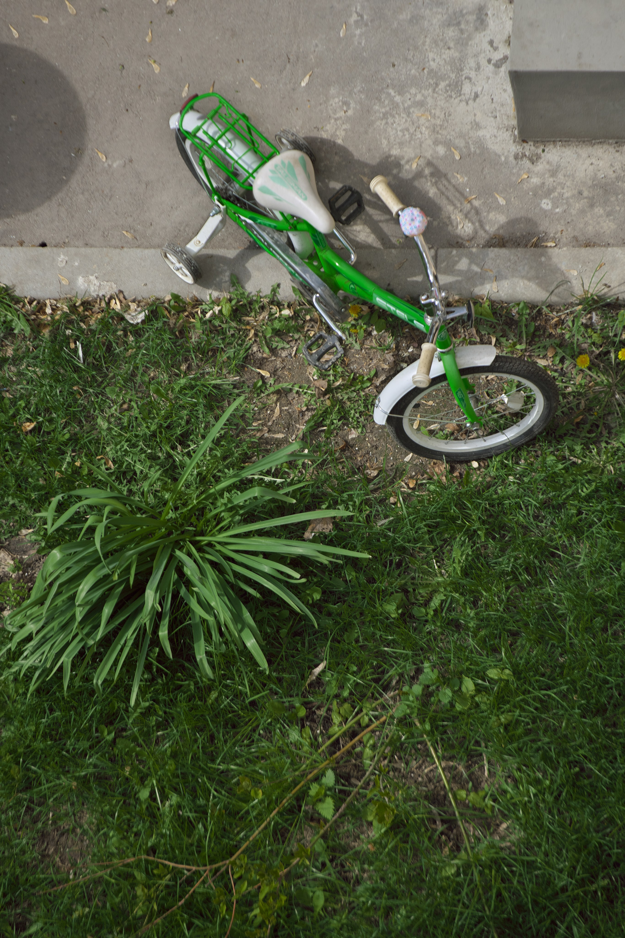 Во дворе 🚲. Миша Печёнкин | фотография