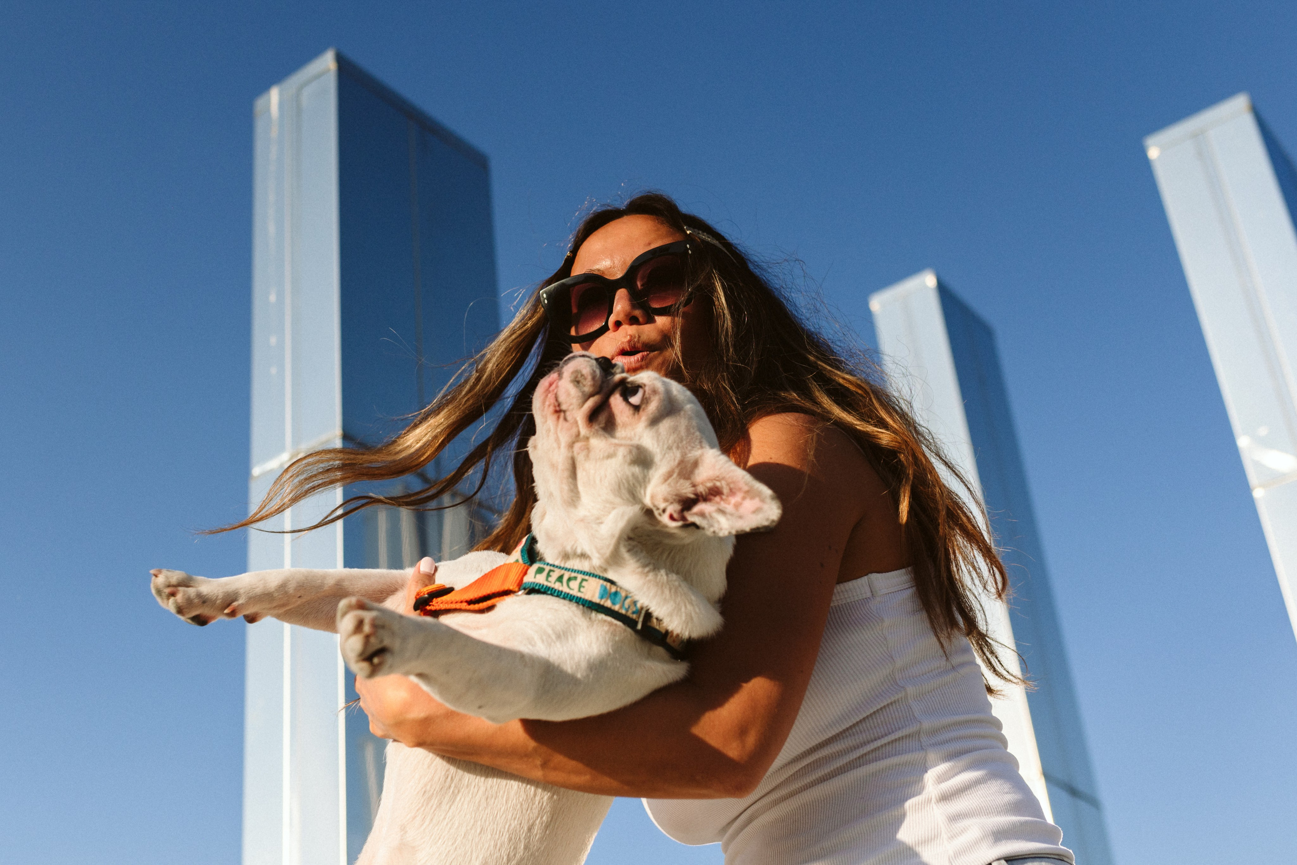 Инна и Белль. Фотограф анималист в Москве Ольга Агушева