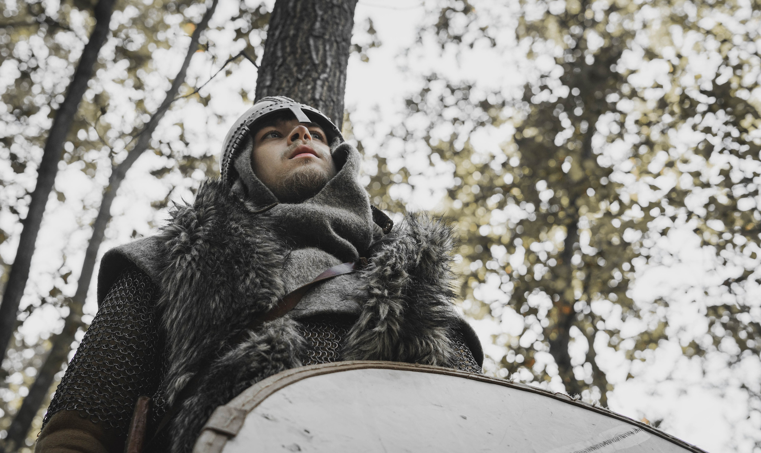 Викинг. Ab extra