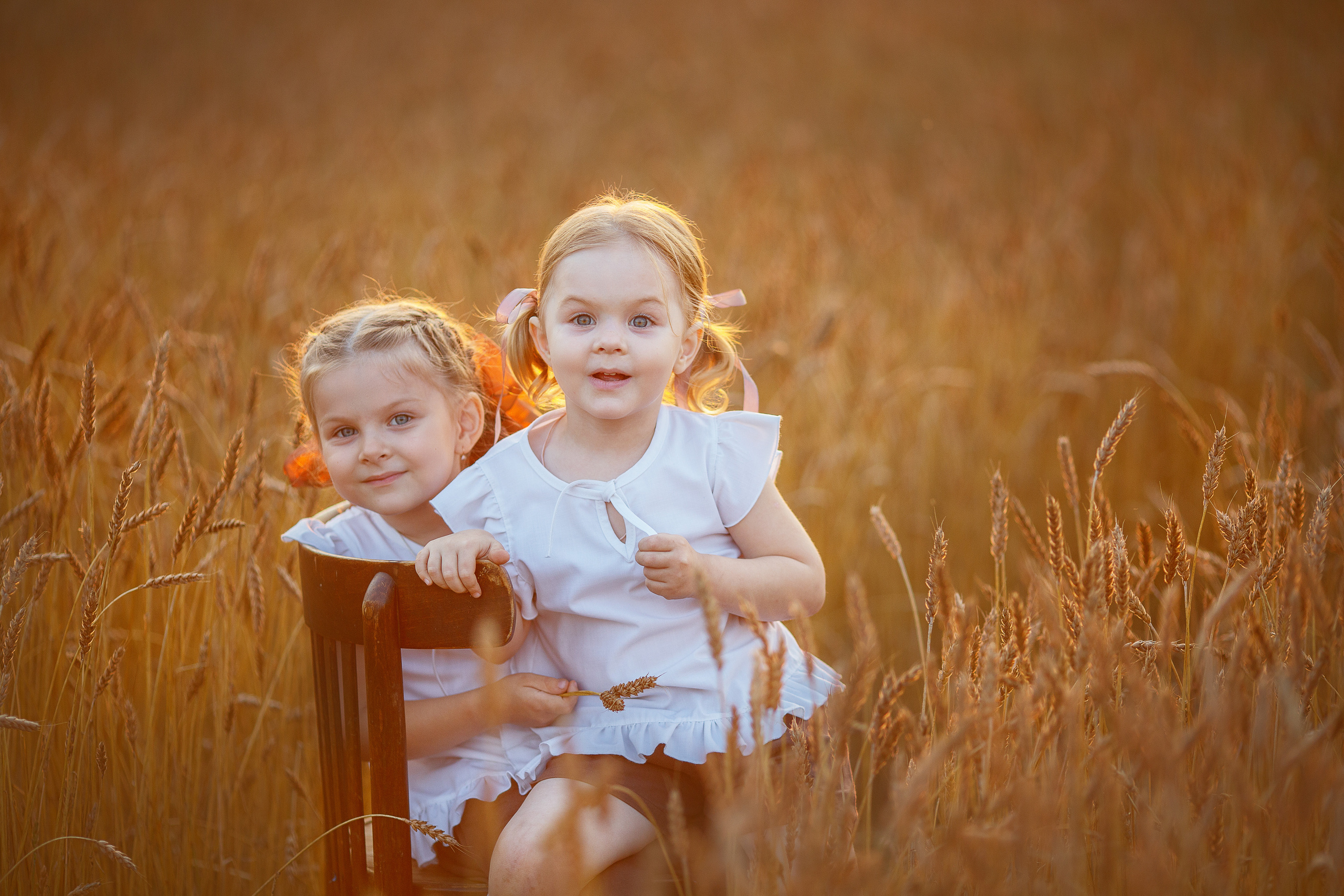 Аня и Вера в пшеничном поле. Семейный фотограф в Кургане