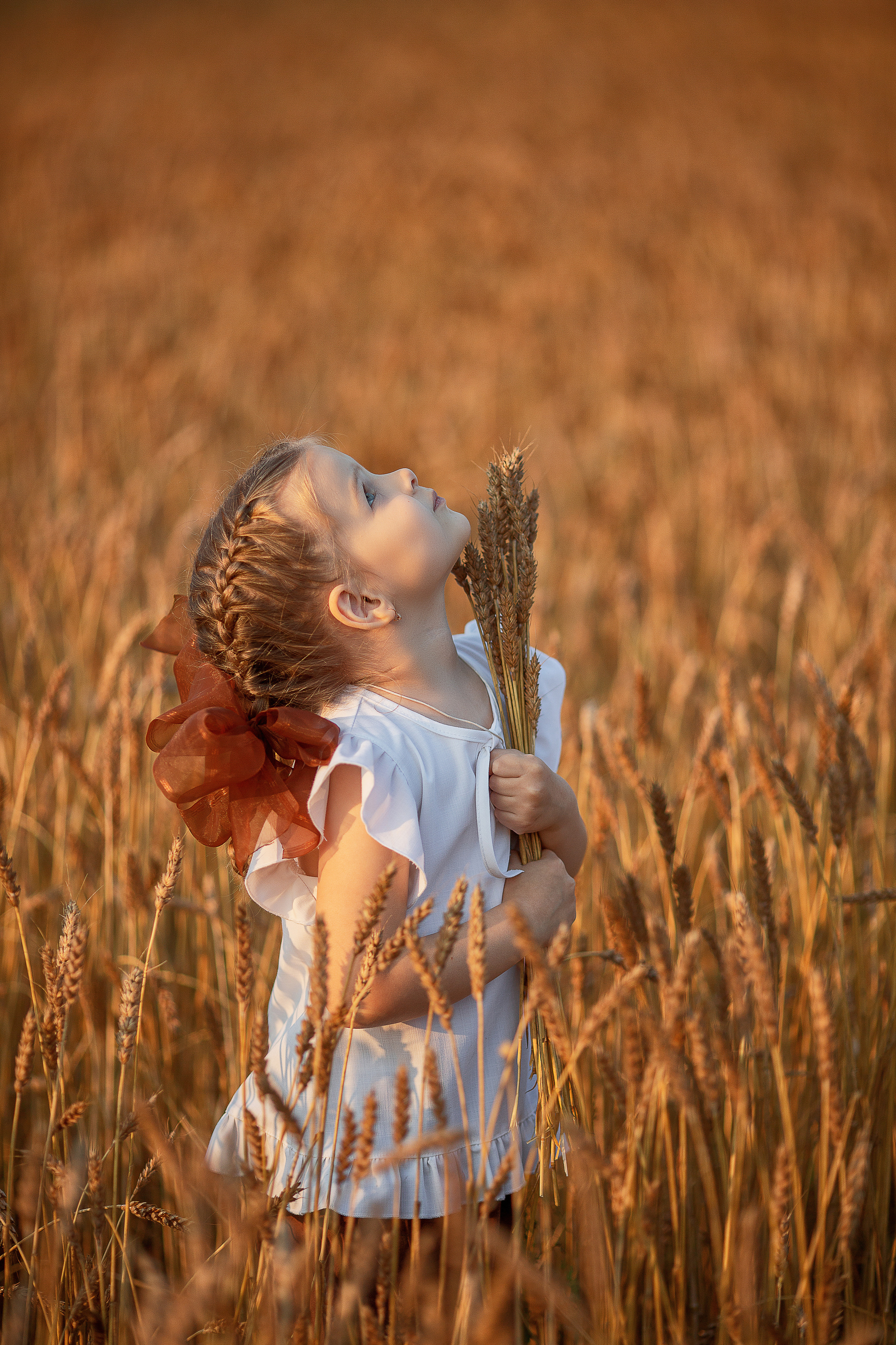 Аня и Вера в пшеничном поле. Семейный фотограф в Кургане