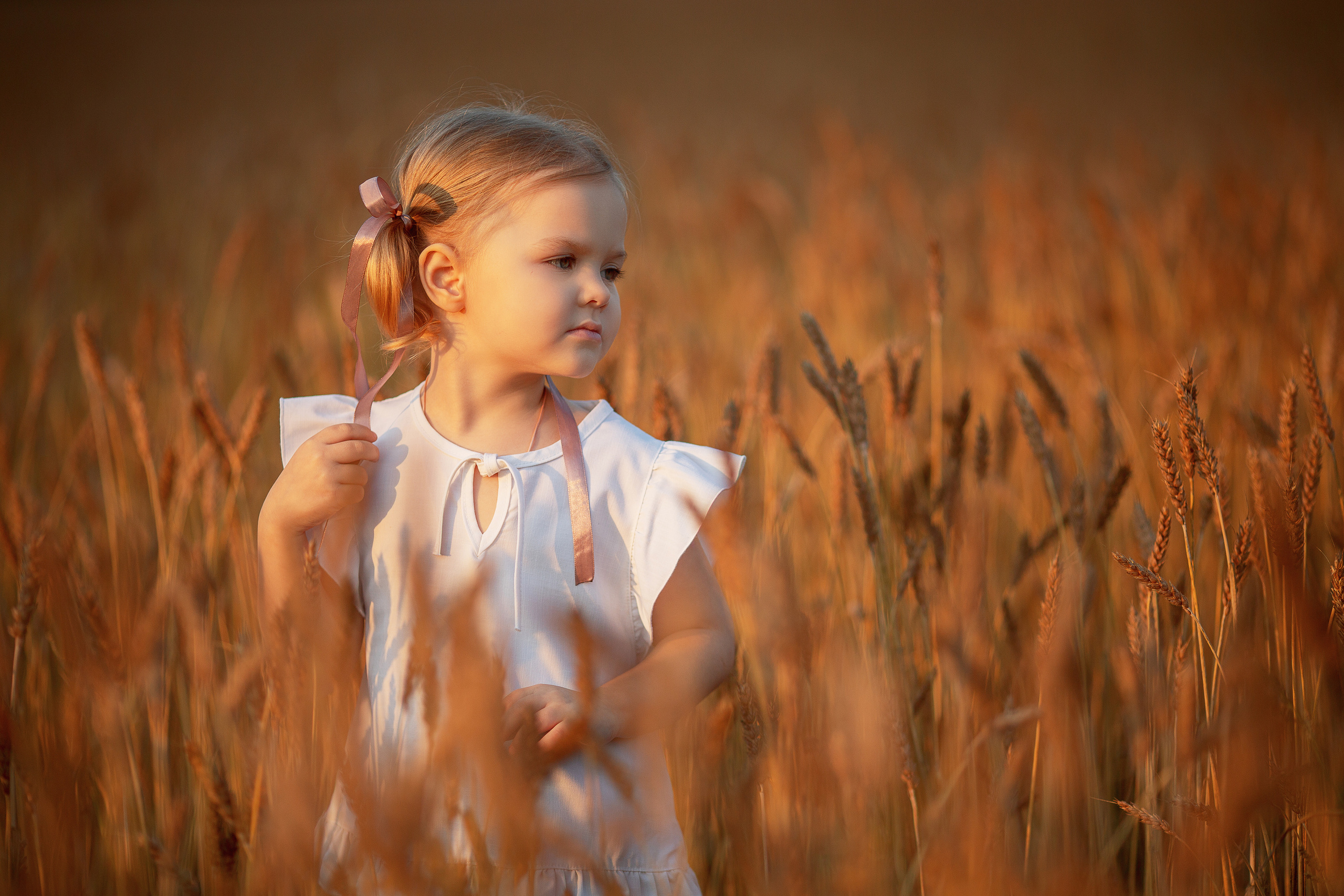 Аня и Вера в пшеничном поле. Семейный фотограф в Кургане